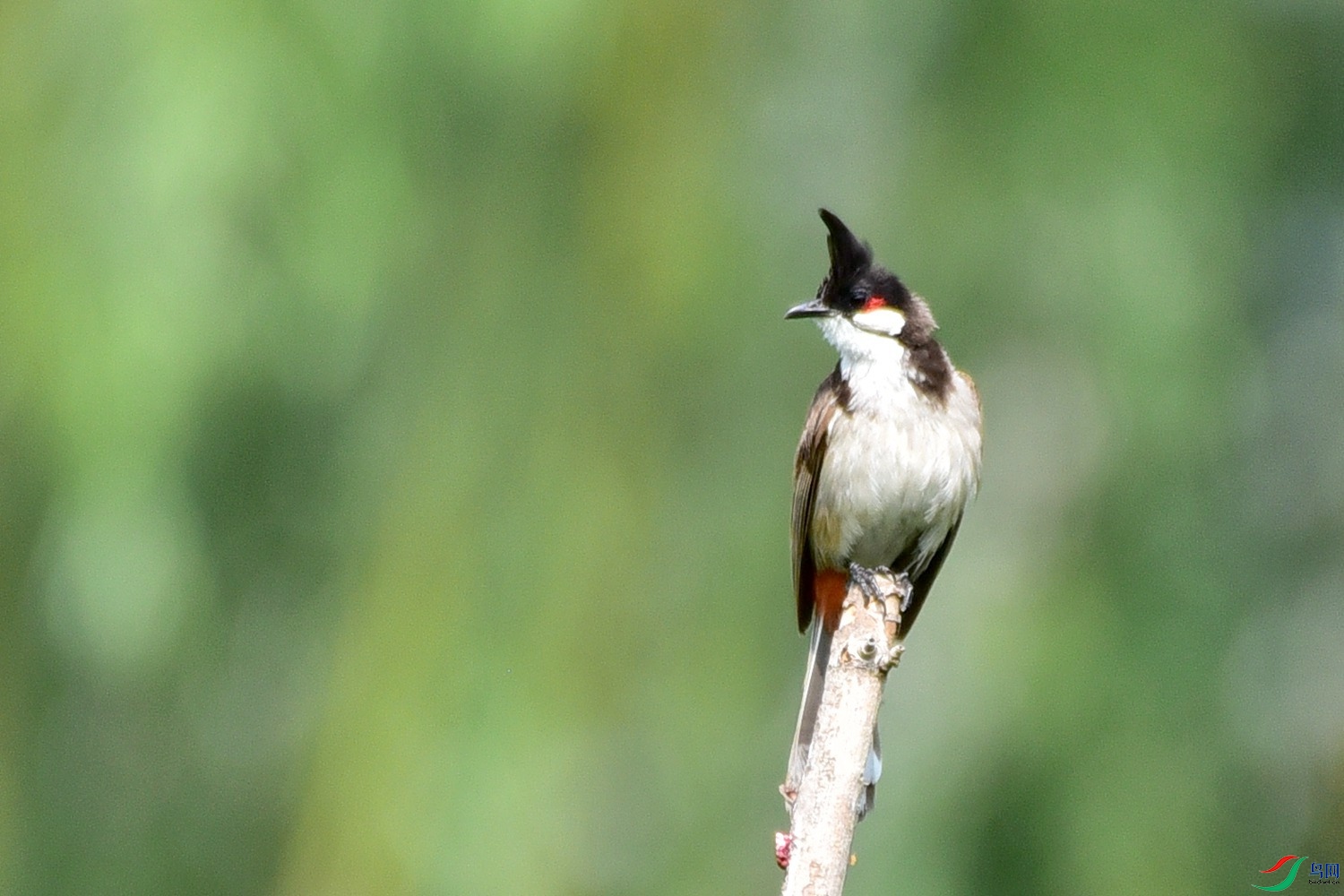 DSC_8657.JPG