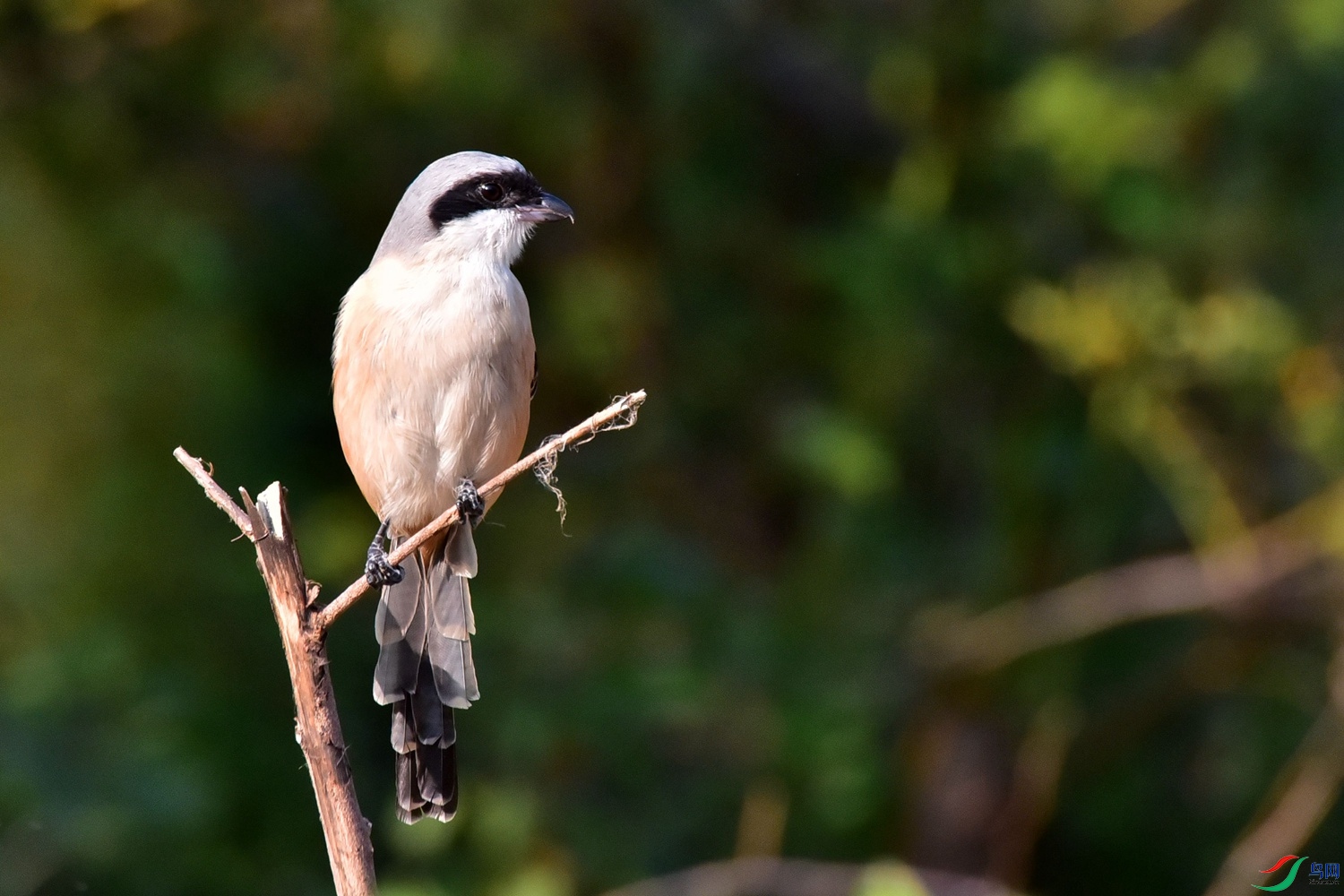 DSC_2291.JPG
