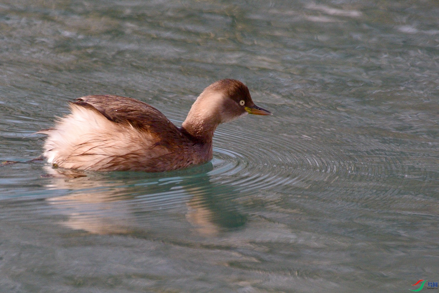 DSC_1205.JPG