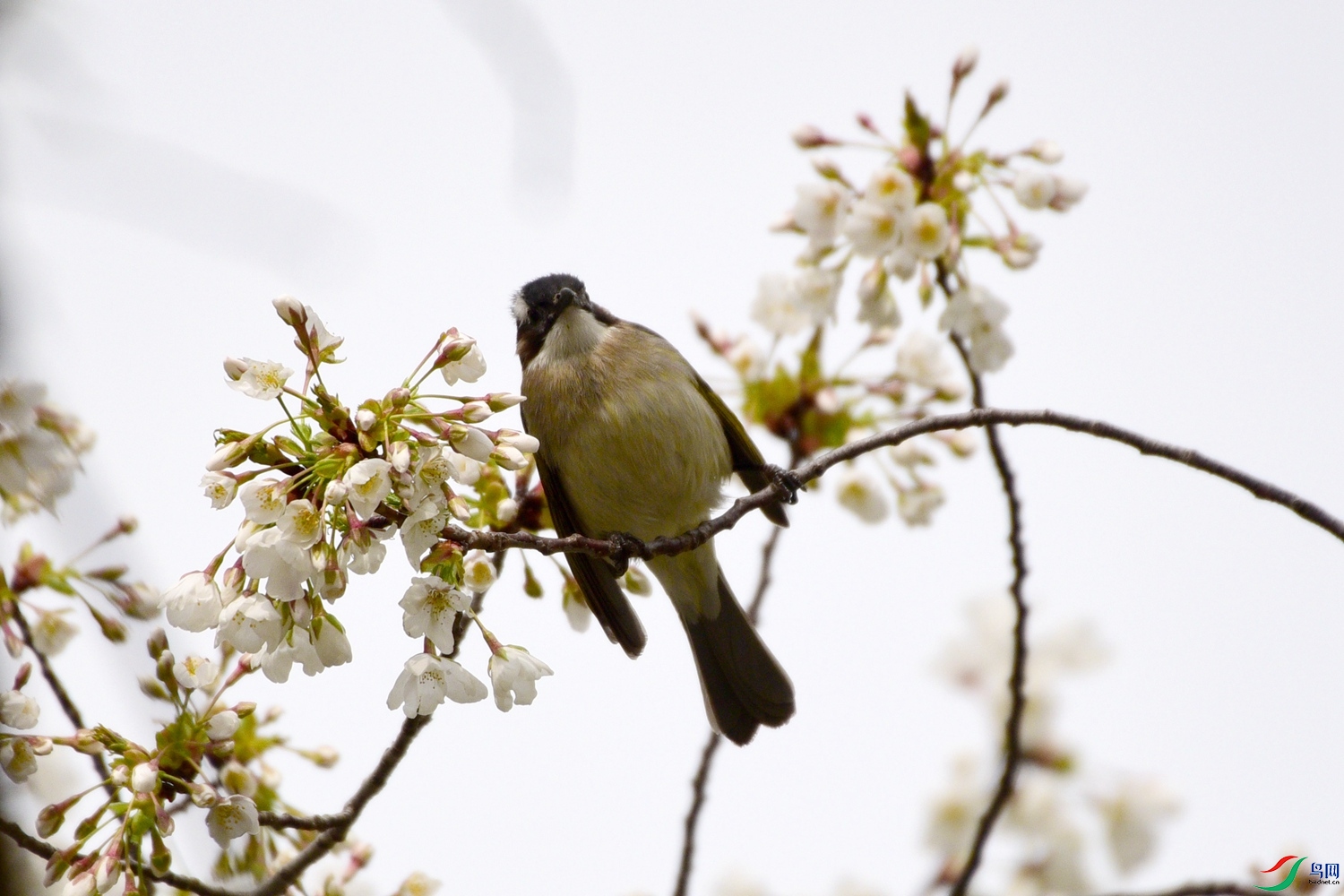 DSC_8089.JPG