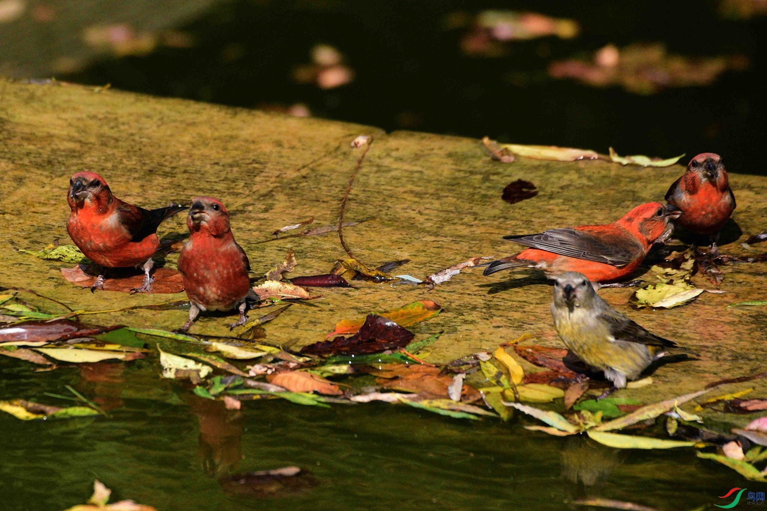 DSC_8414.JPG