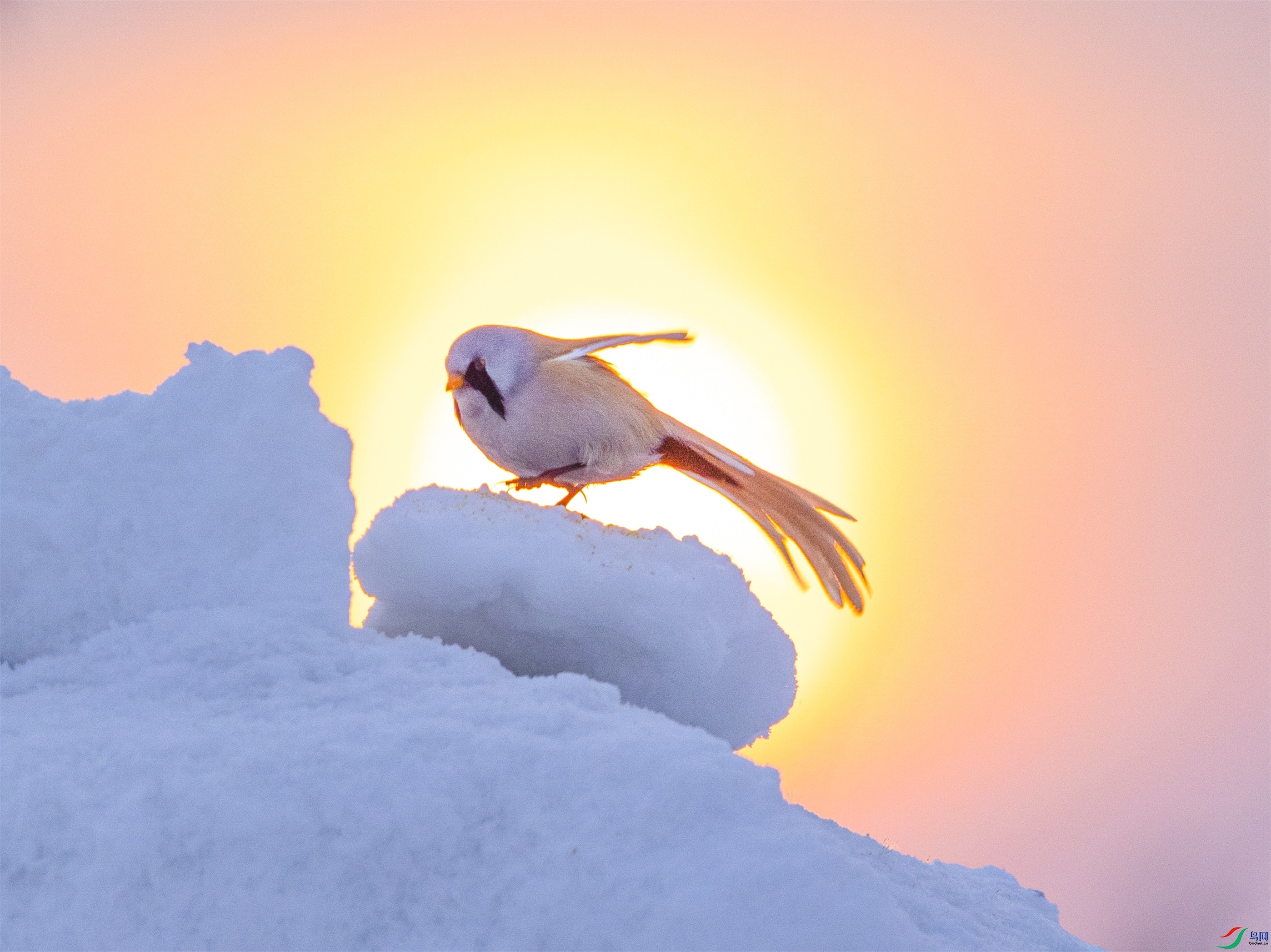 1K3A5061 ����1.jpg