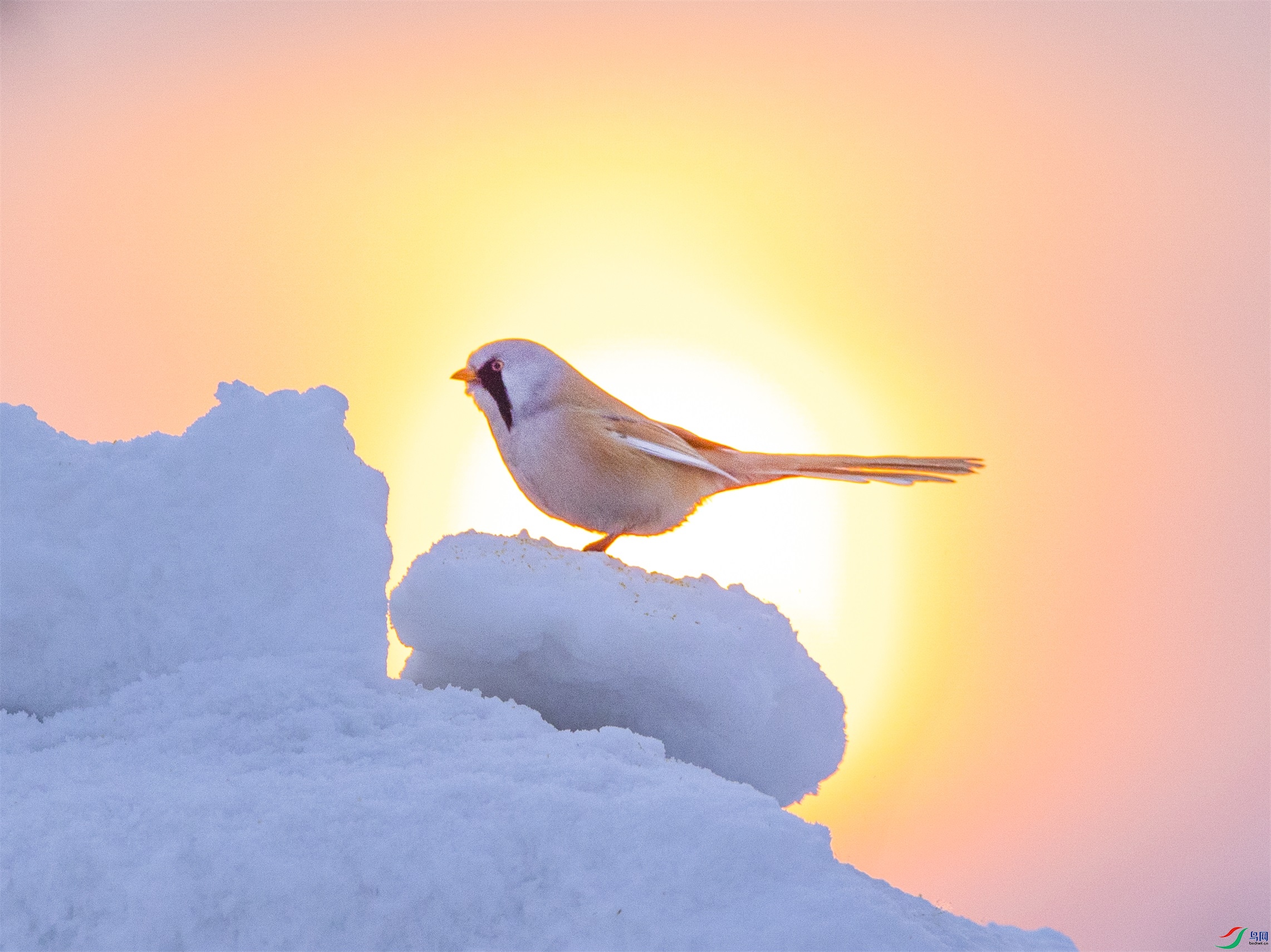 1K3A5060 ����1.jpg