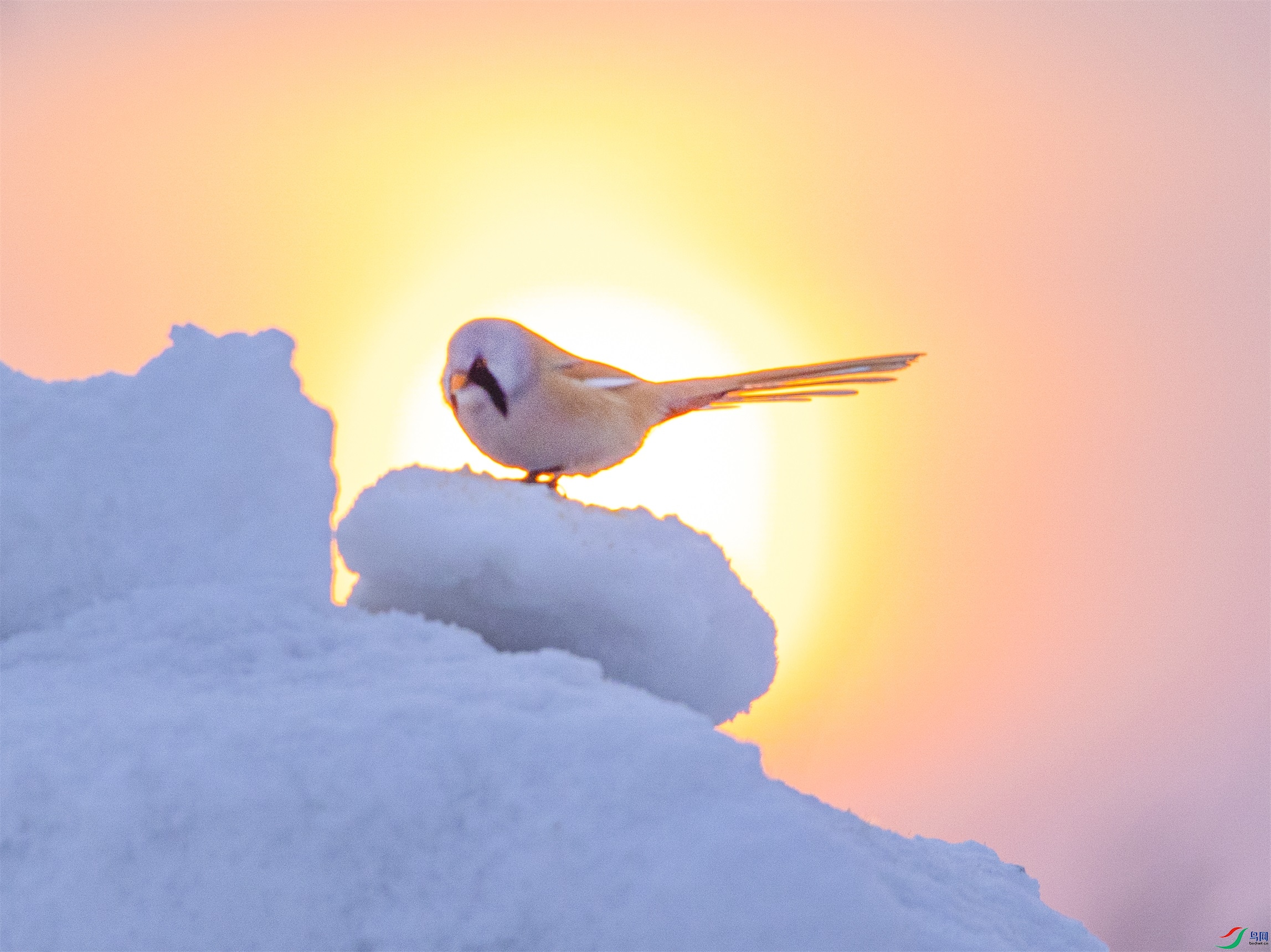 1K3A5063 ����1.jpg