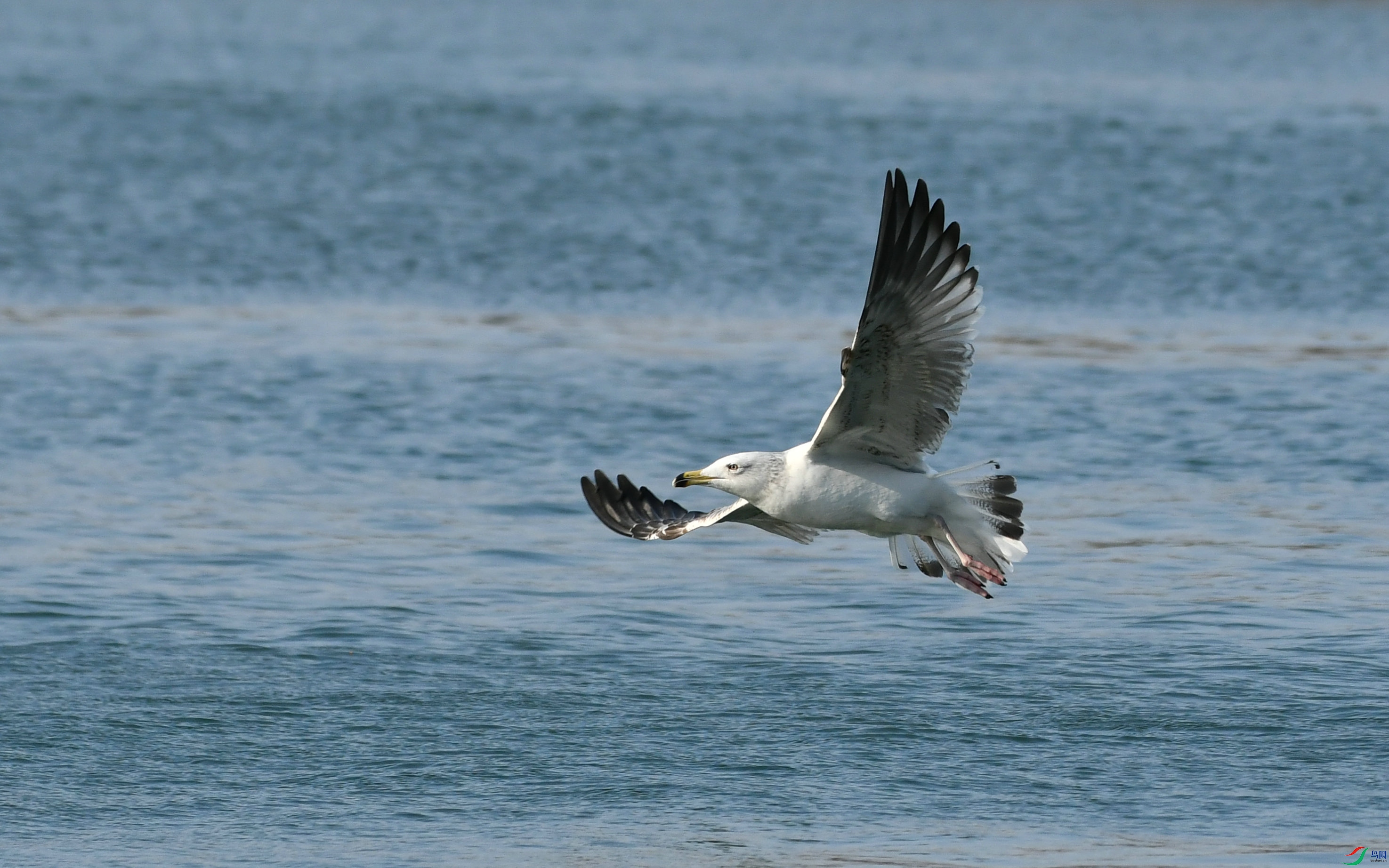 DSC_9120.JPG
