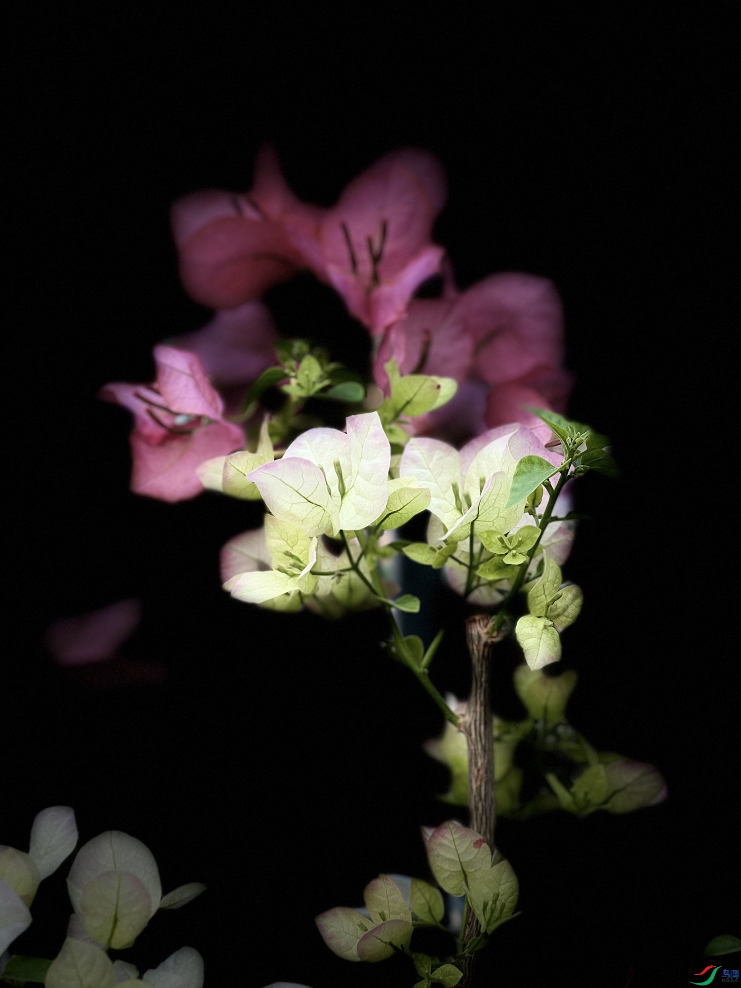 IMG_1691-FullSizeRender.jpg