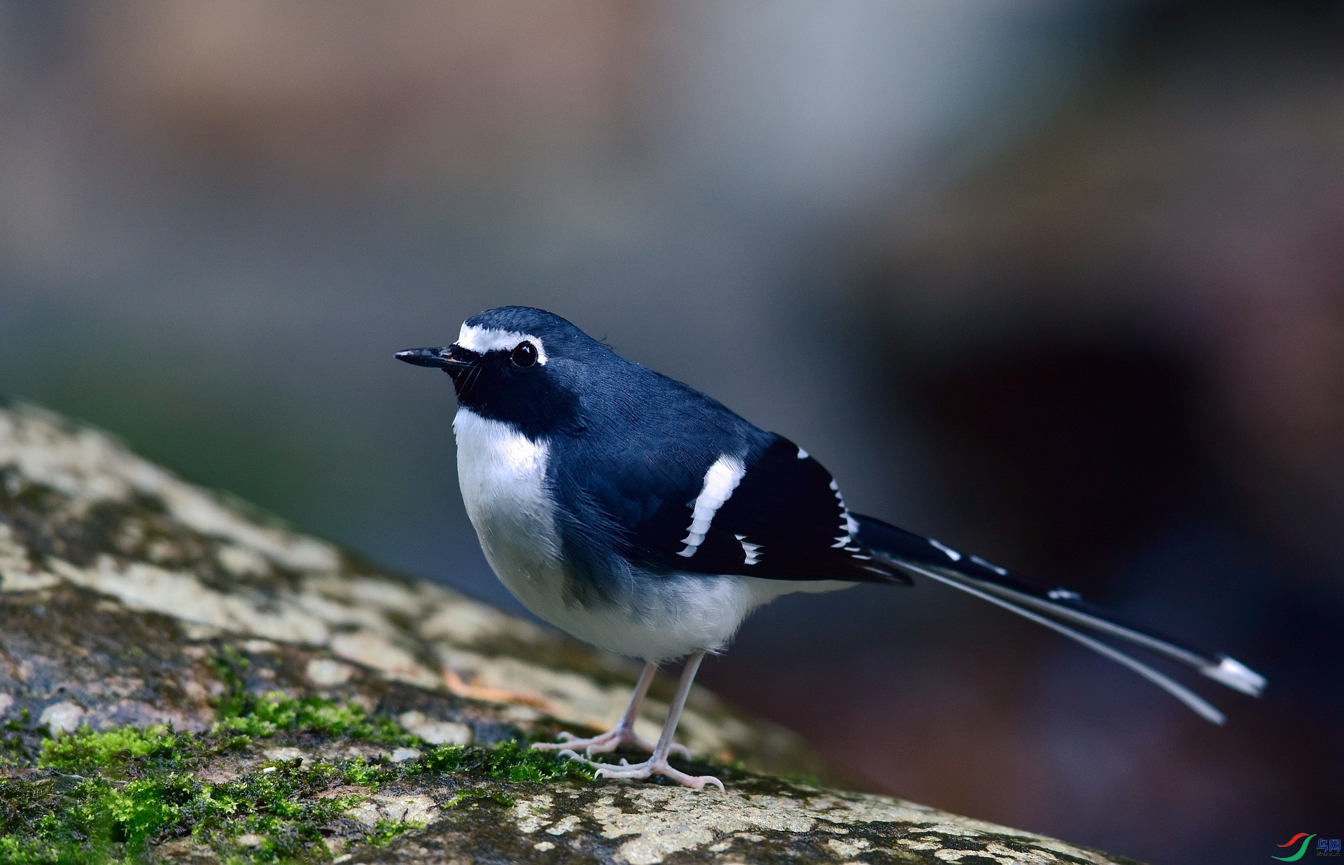 D8I_5785.jpg