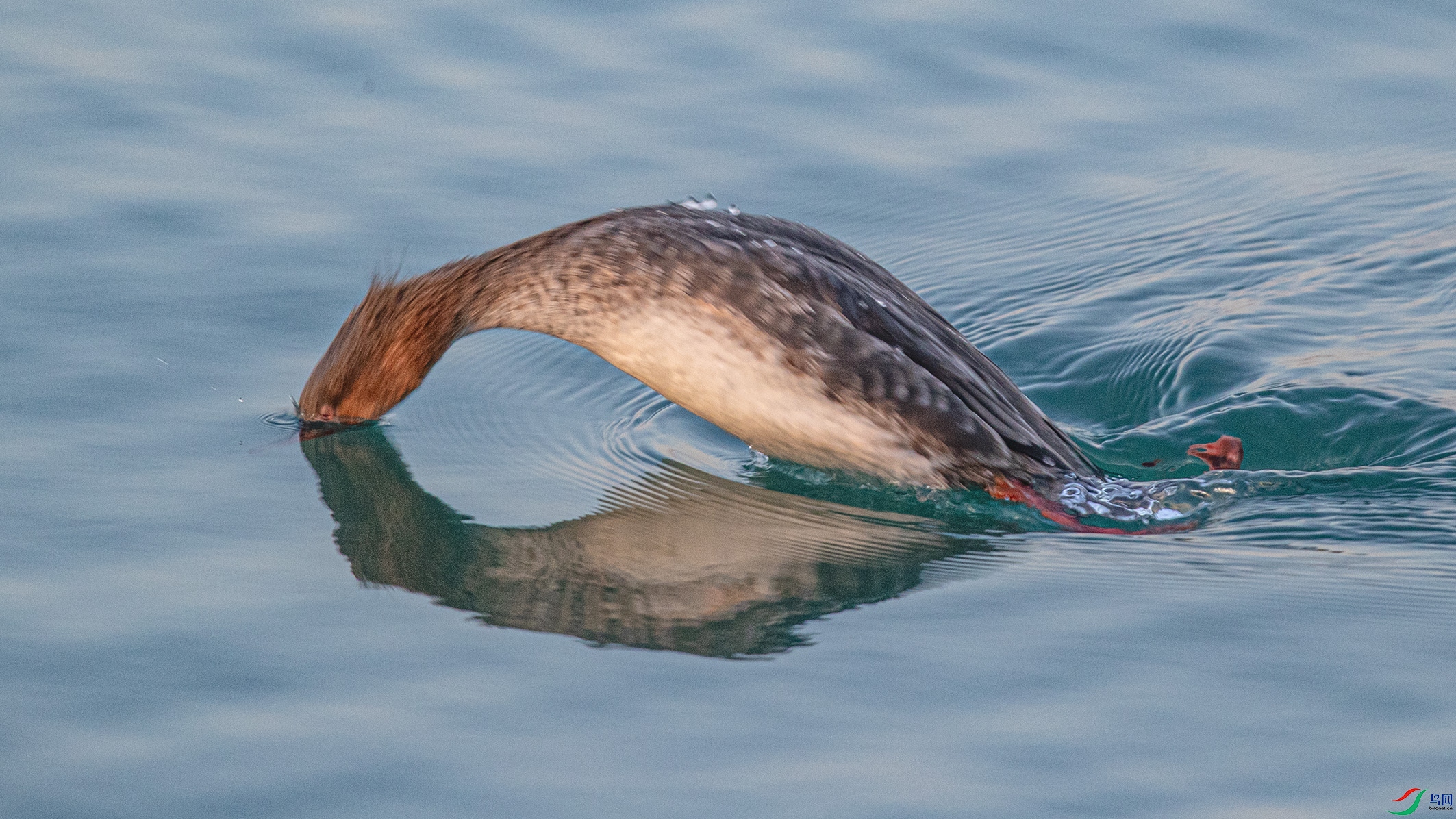 _90I0515 ����.jpg