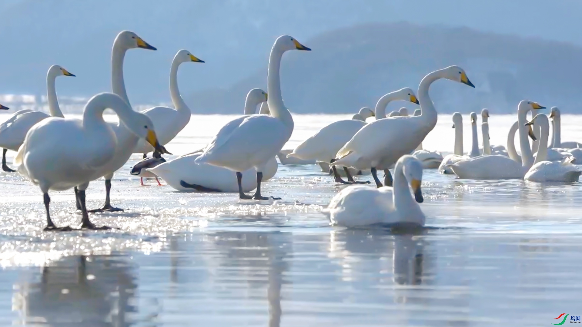 ��֮����