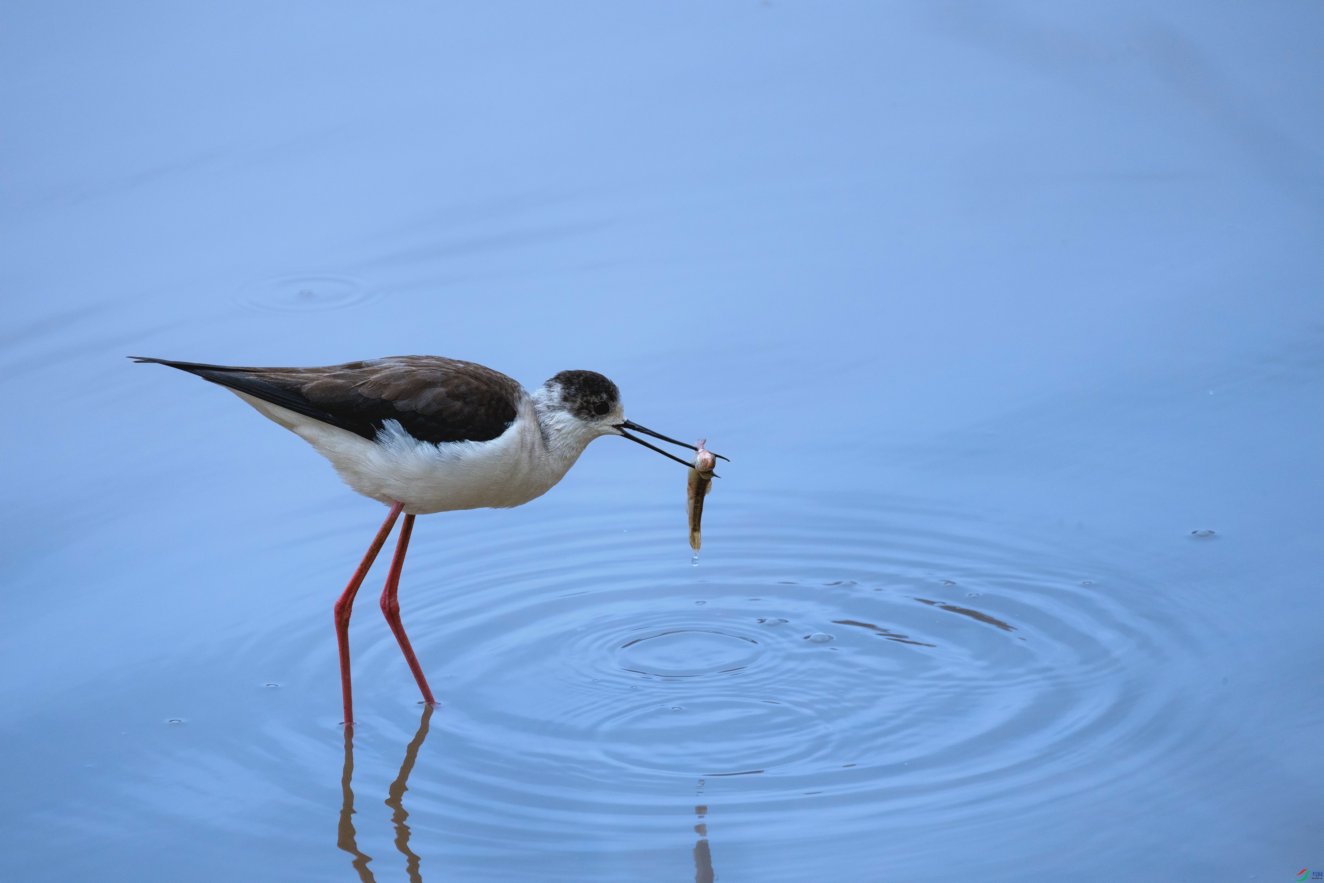 7X5A1156 ���� - ����.jpg