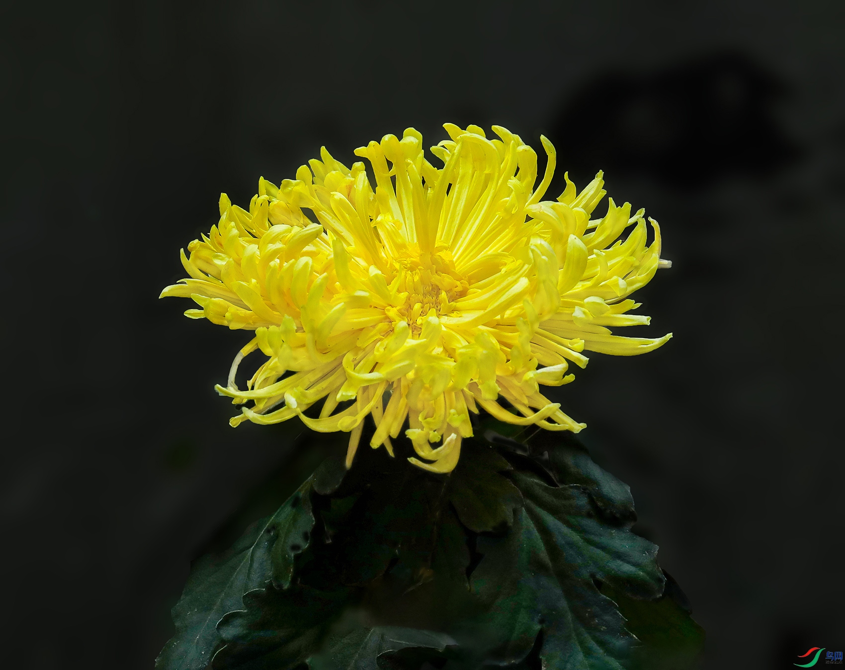 0000583A0192 ���鹬 1000k.jpg