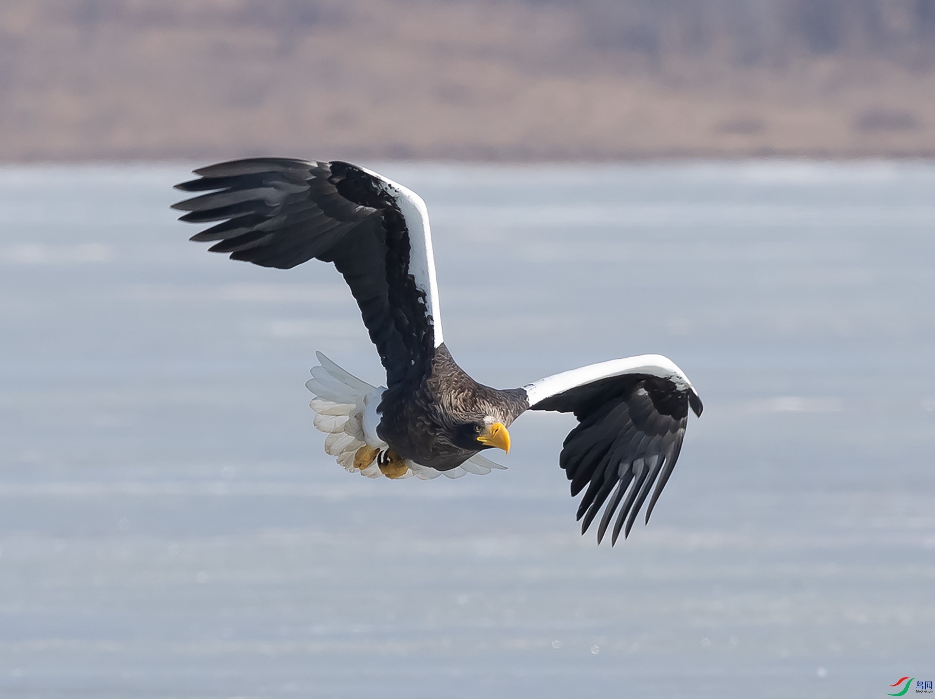 019A5507 ����.jpg