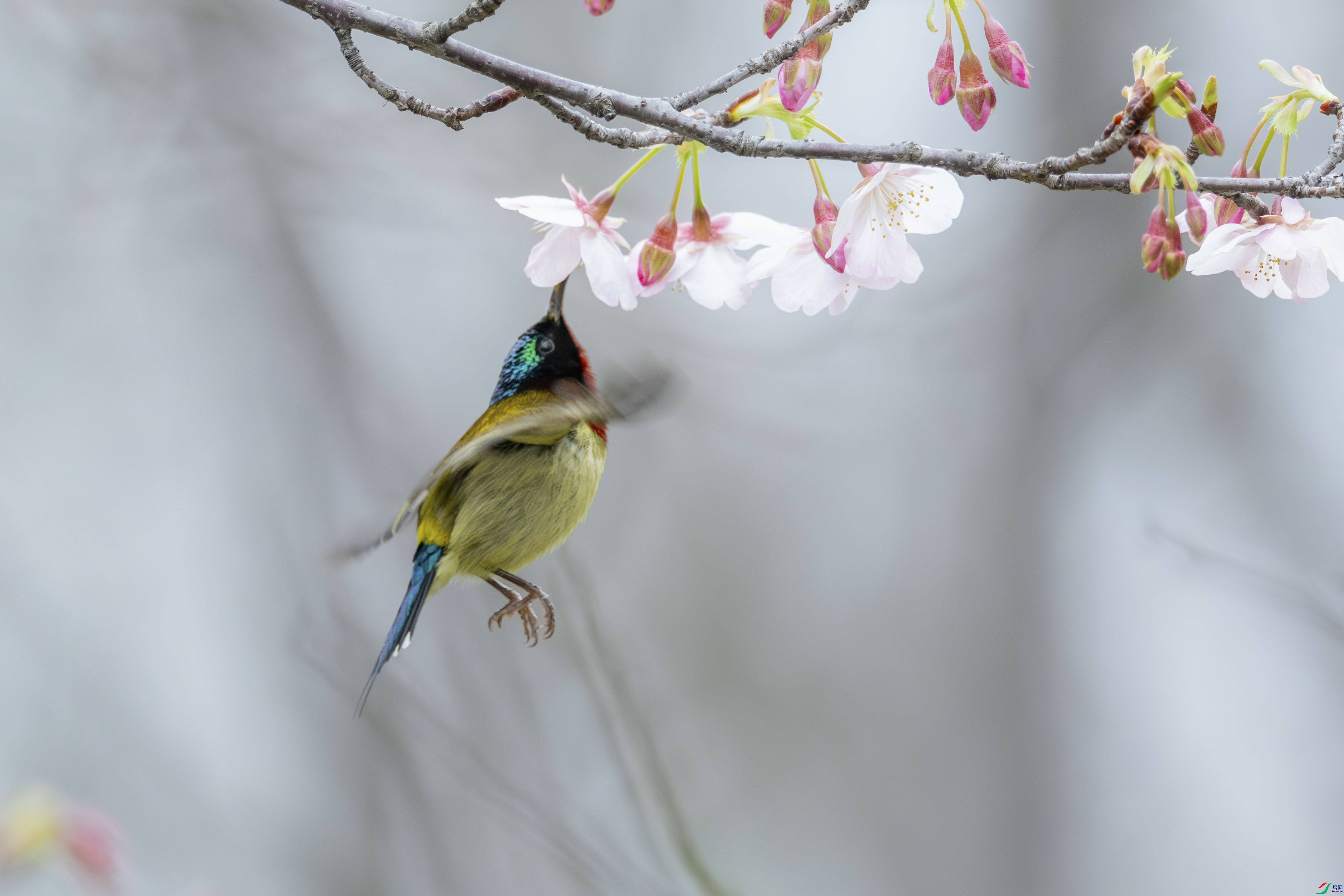 DSC_6996_1.JPG