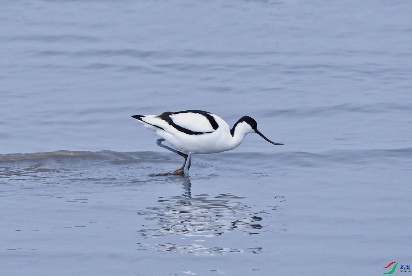 DSC_8970f.jpg