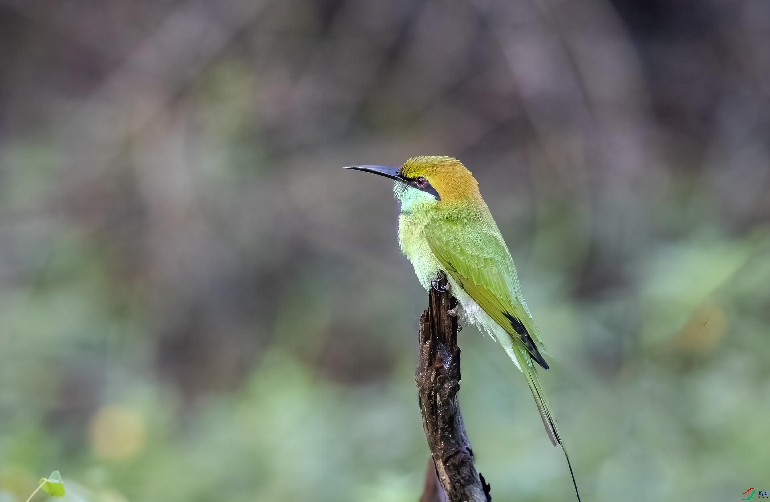 AC3I0796 ����.jpg