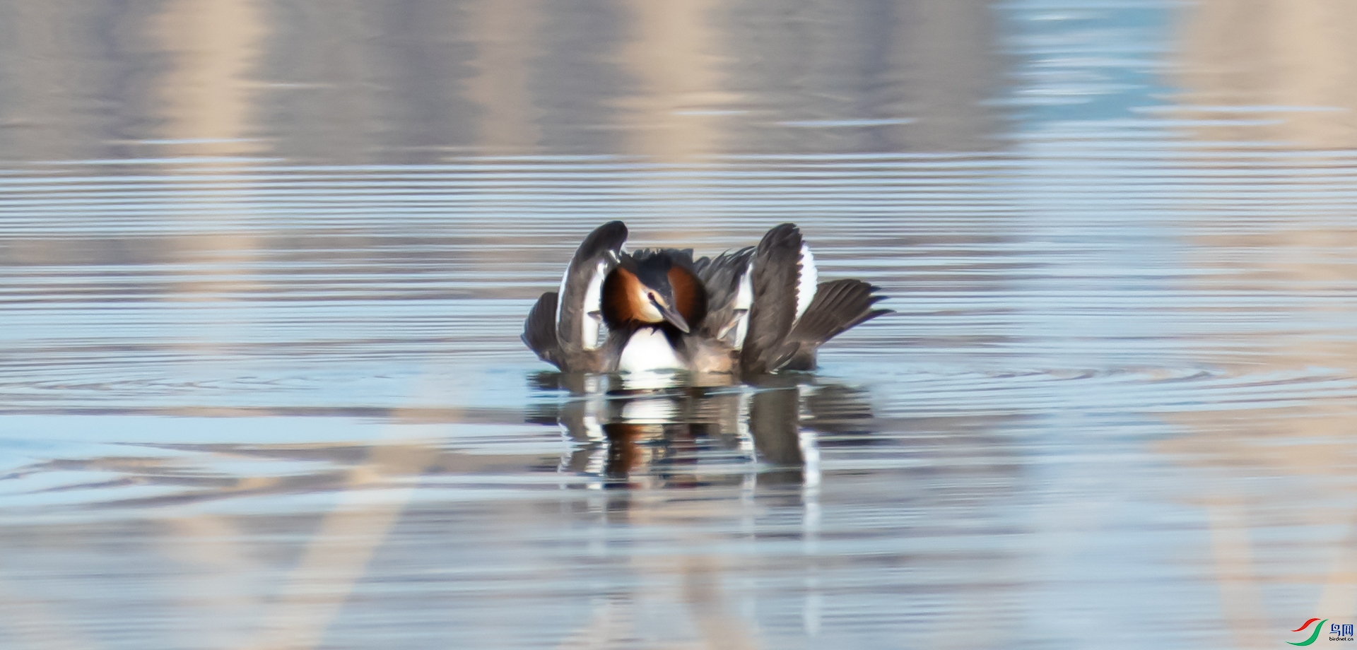 DSC_7804.jpg