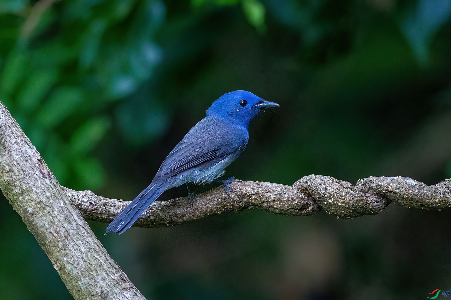DSC_0838.jpg