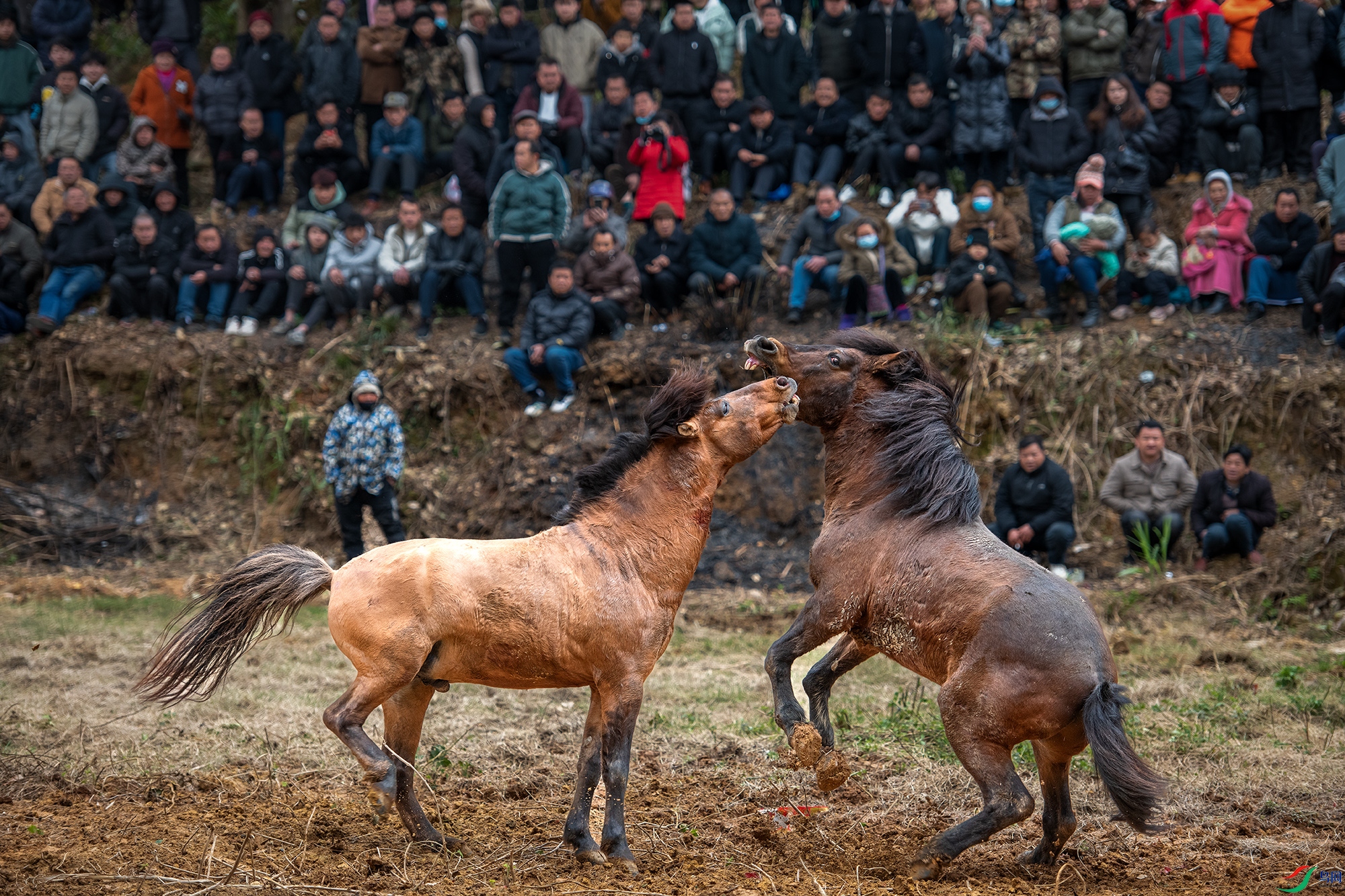 DSC_6556 ����11111111111.jpg