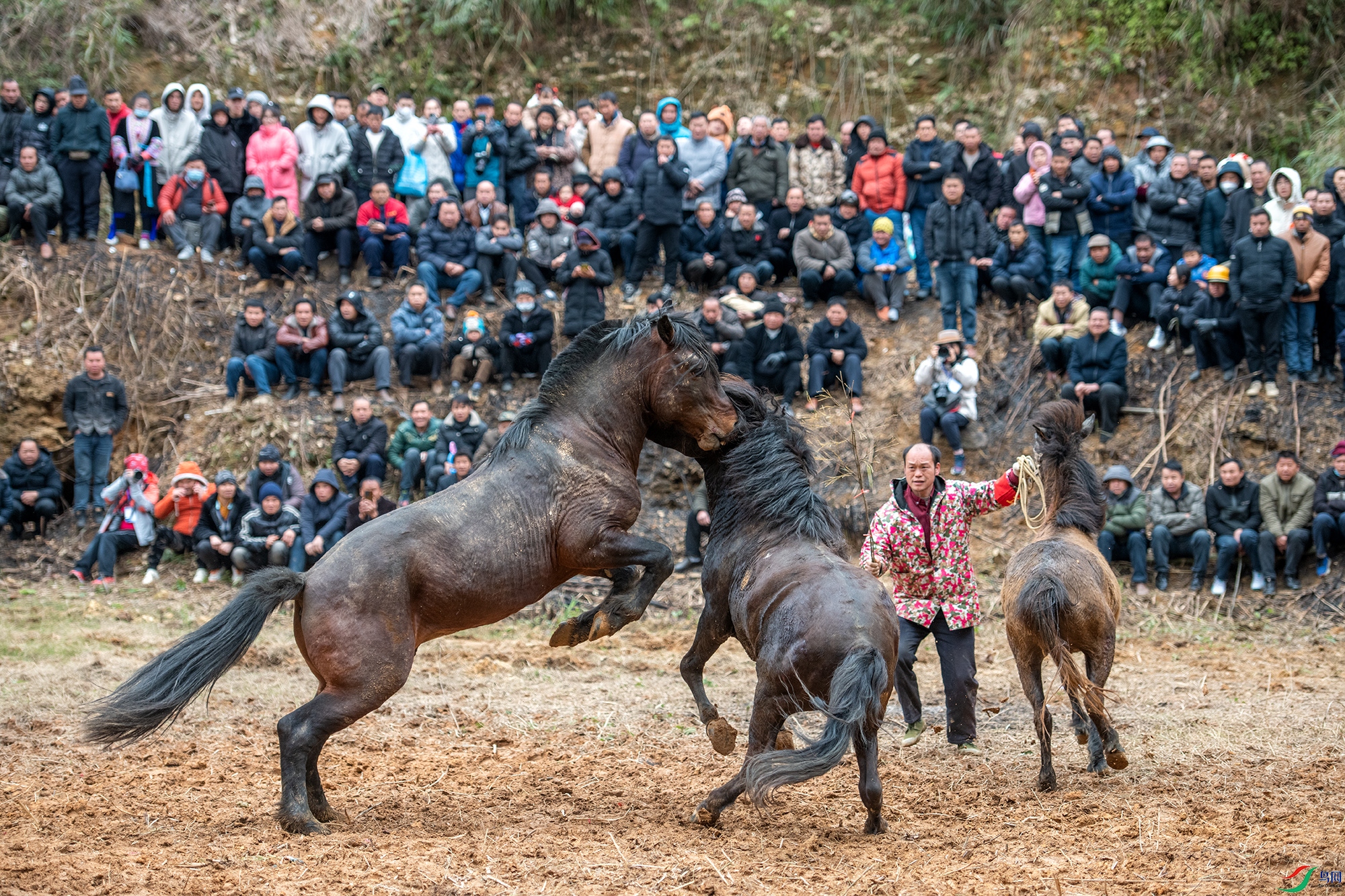 DSC_6466 ����1111.jpg