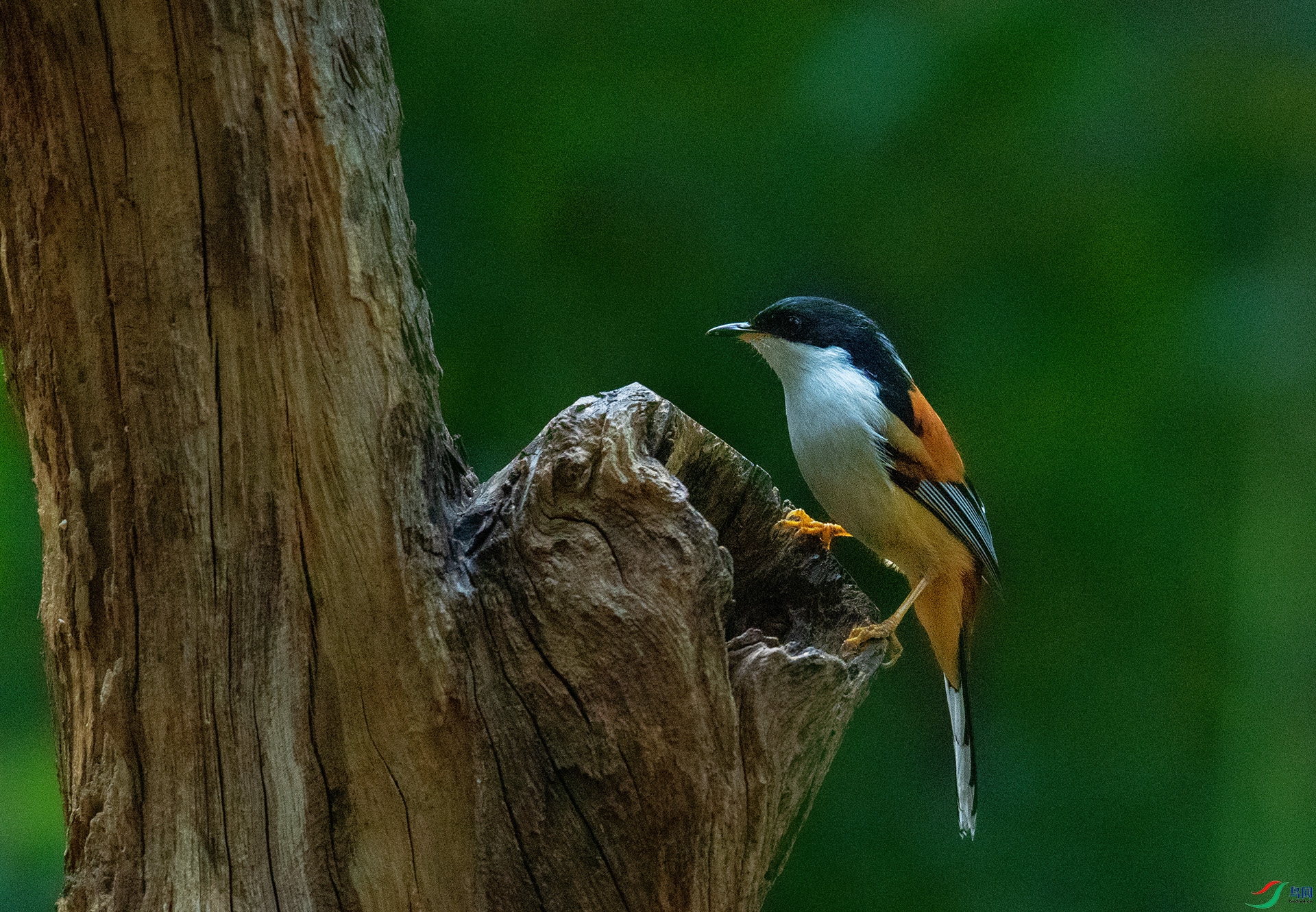 DSC_4144 -1.jpg