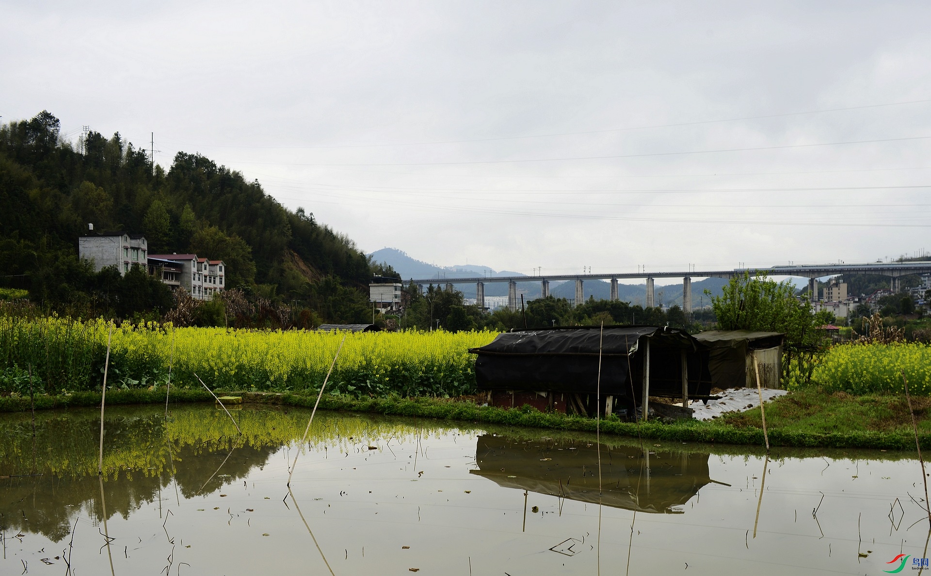 _D806464.jpg