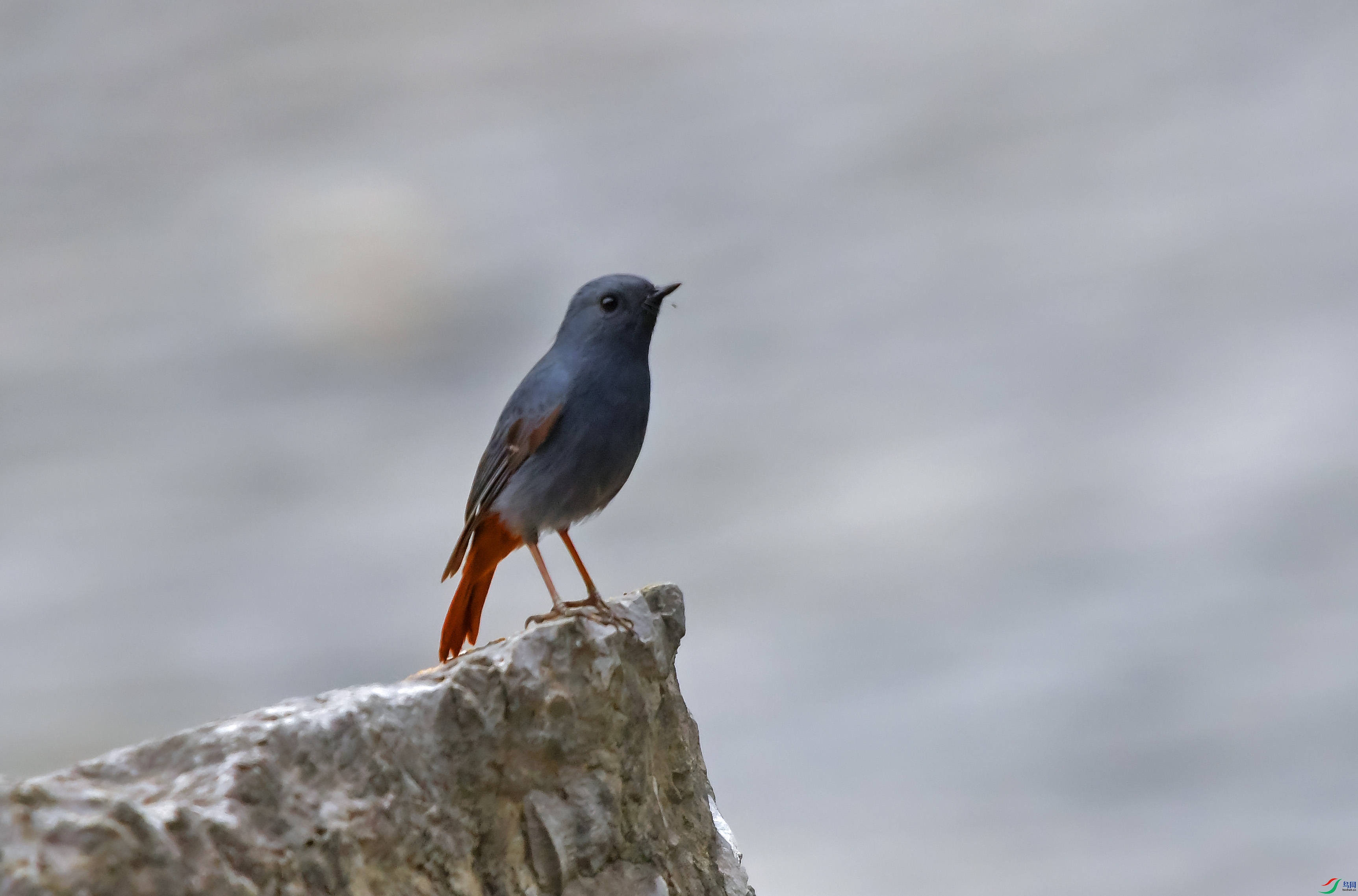 DSC_0432.JPG
