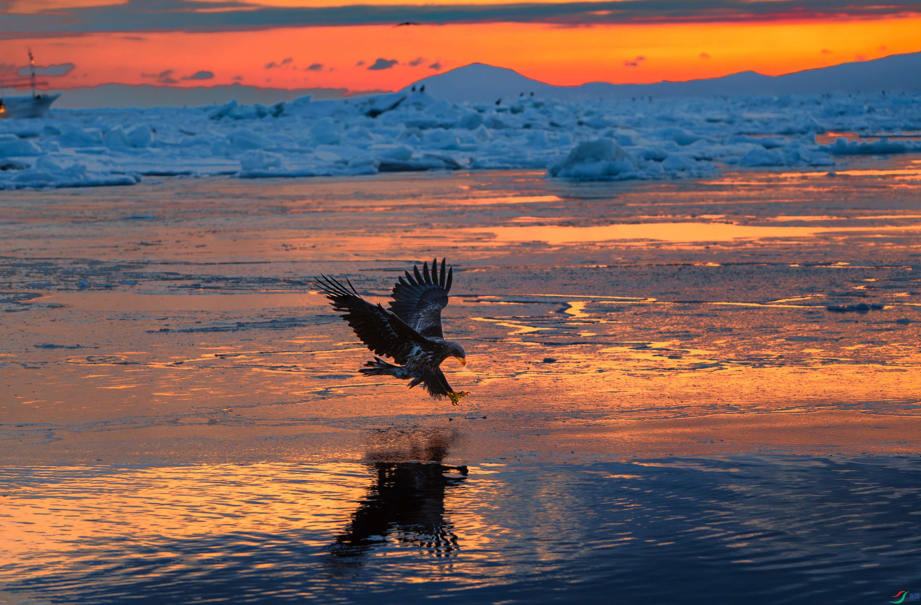 _DSC4454-����ǿ-NR_091106_polarr.jpeg
