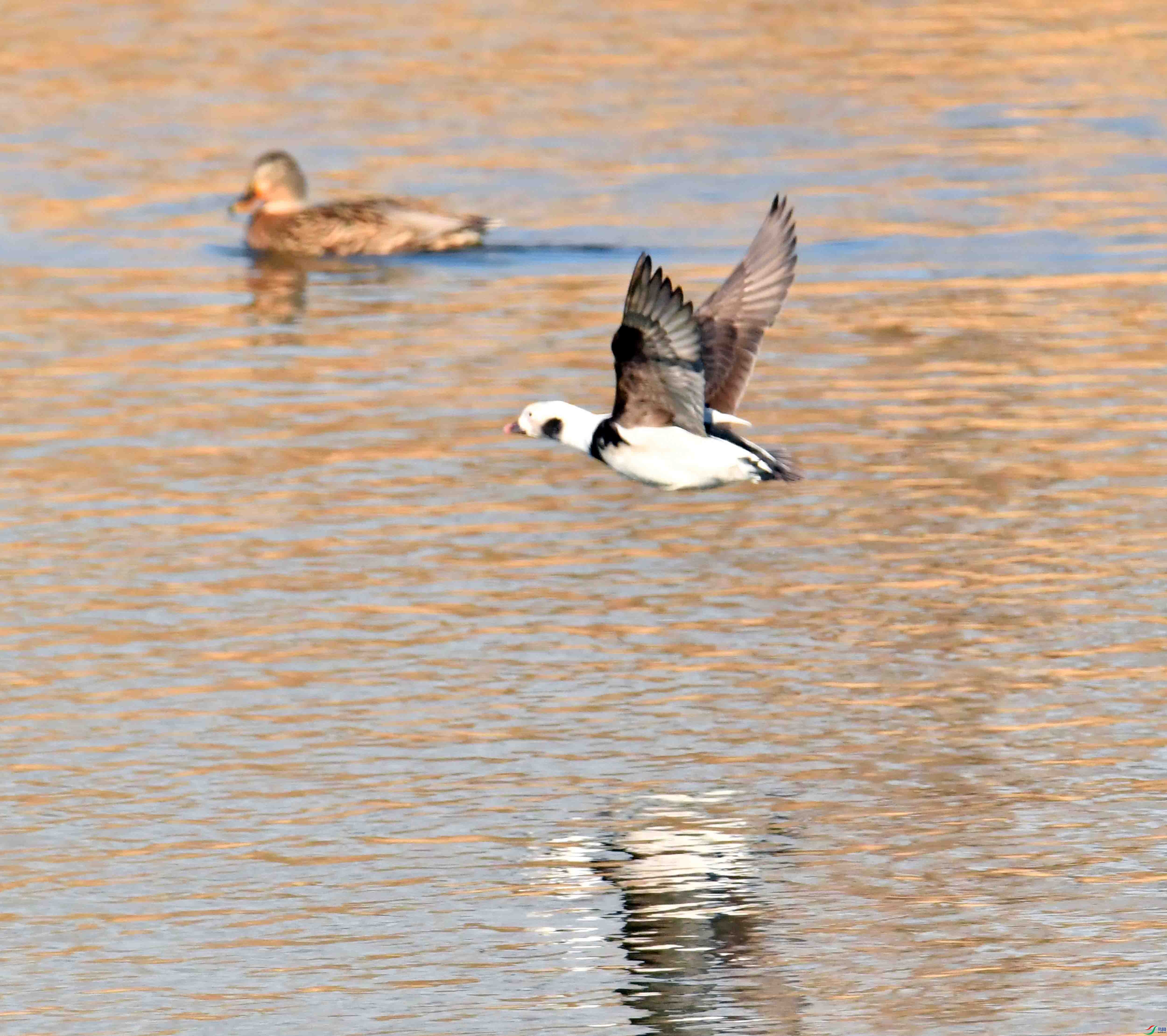 DSC_7560.JPG