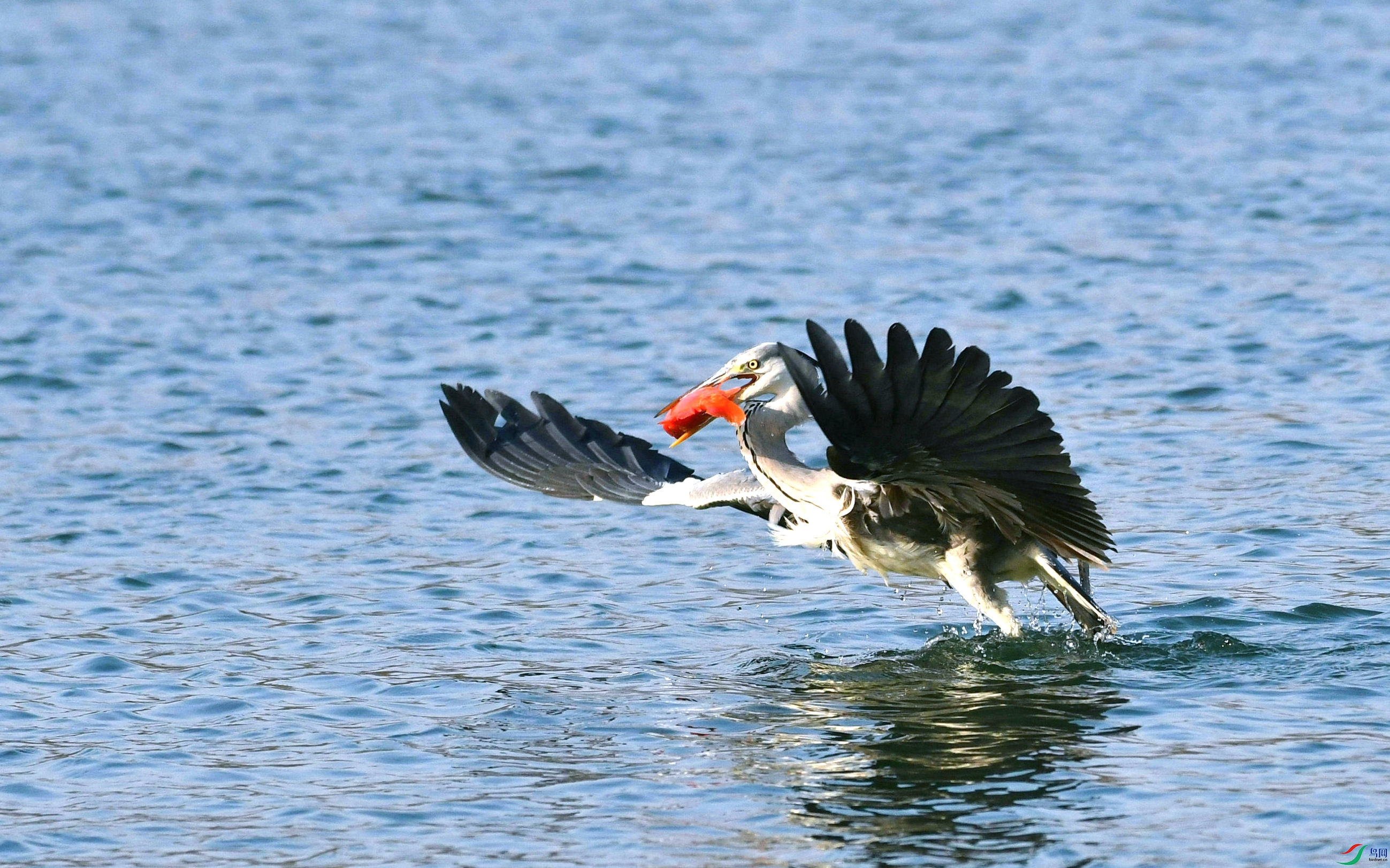 DSC_9359.JPG