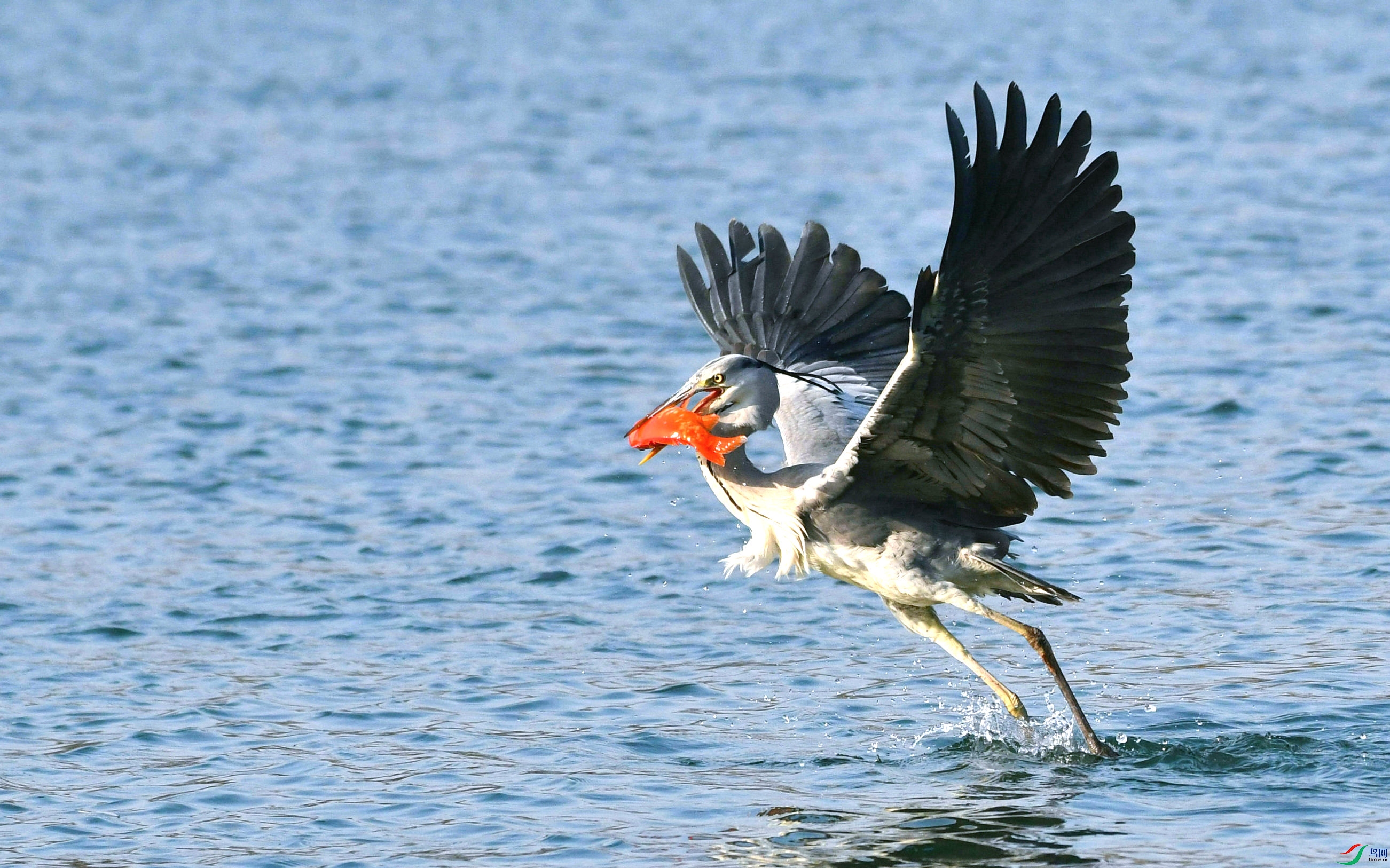 DSC_9361.JPG