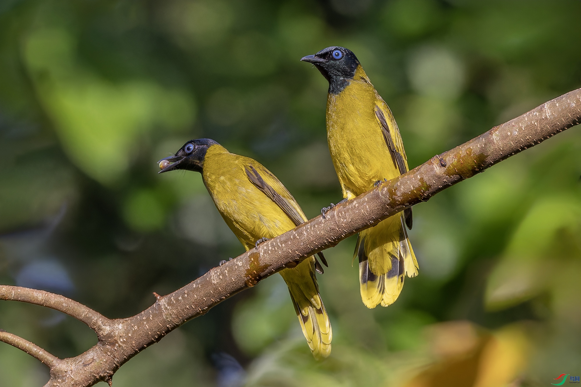 _97A2314-CR3 copy.jpg