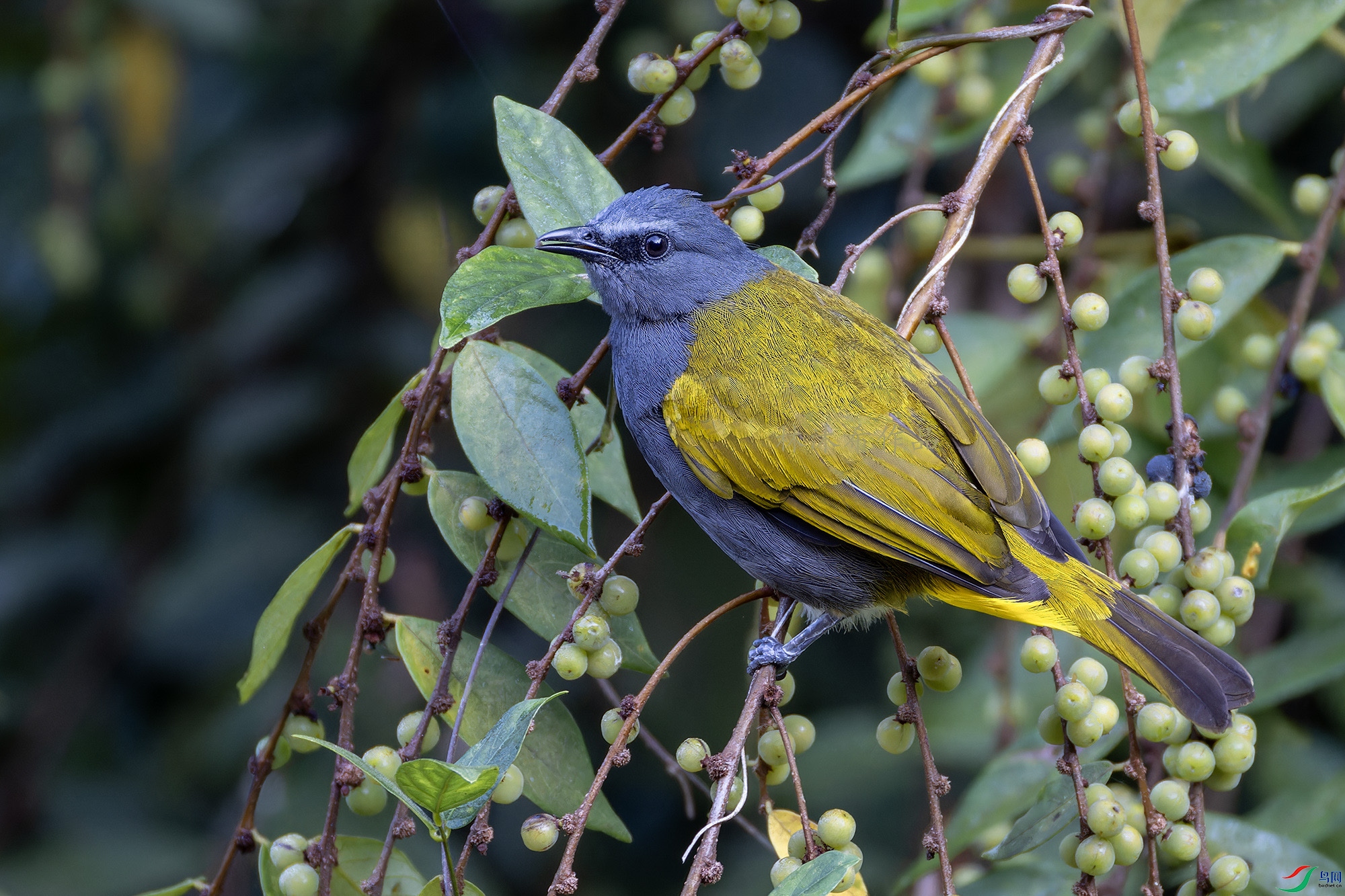 _97A2201-CR3 copy.jpg