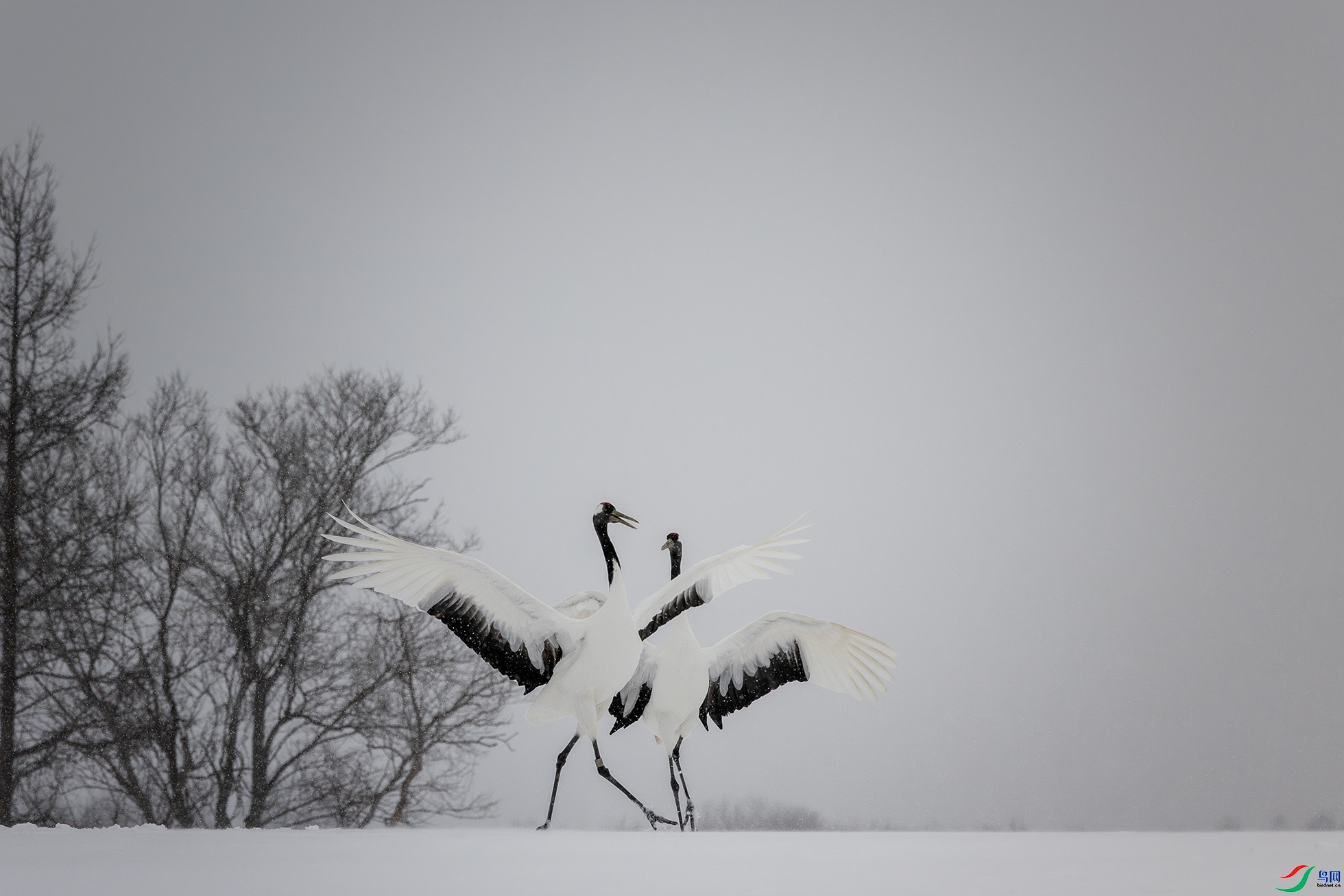 ÿ��һͼ  ӵ�� ���� bartonmao  ����.jpg