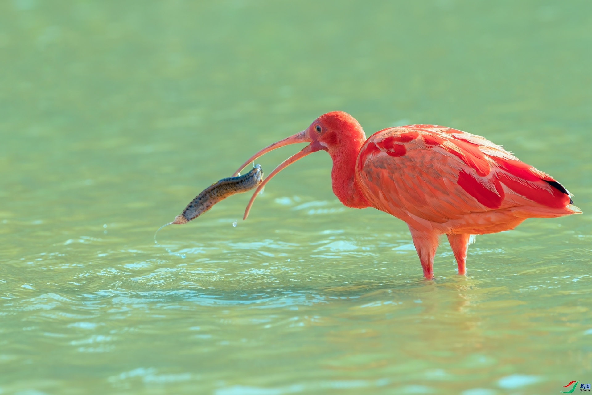 �ջ������  ���� ��һ.jpg