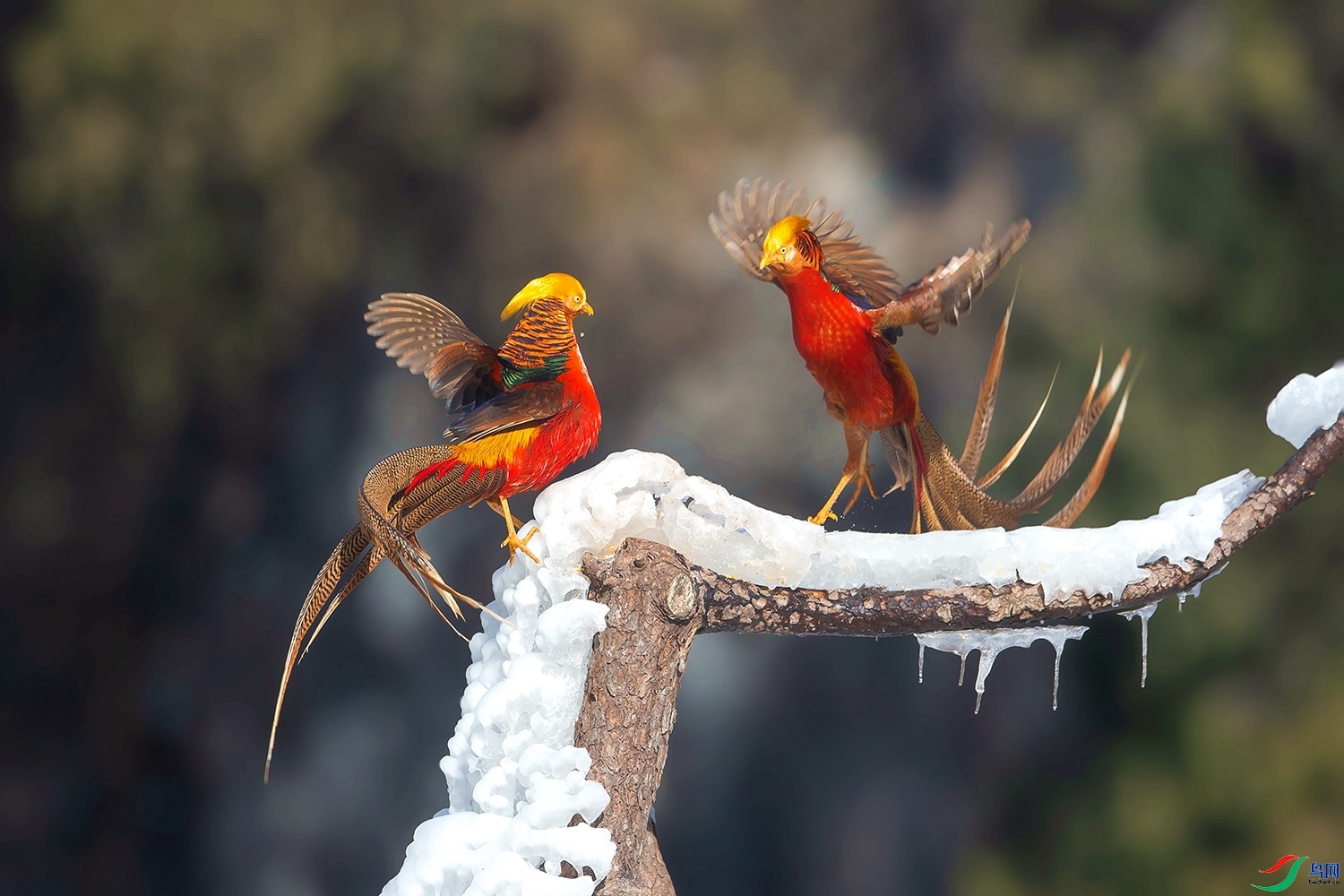 ��ӭ ���� ͧ��  ��һ.jpg