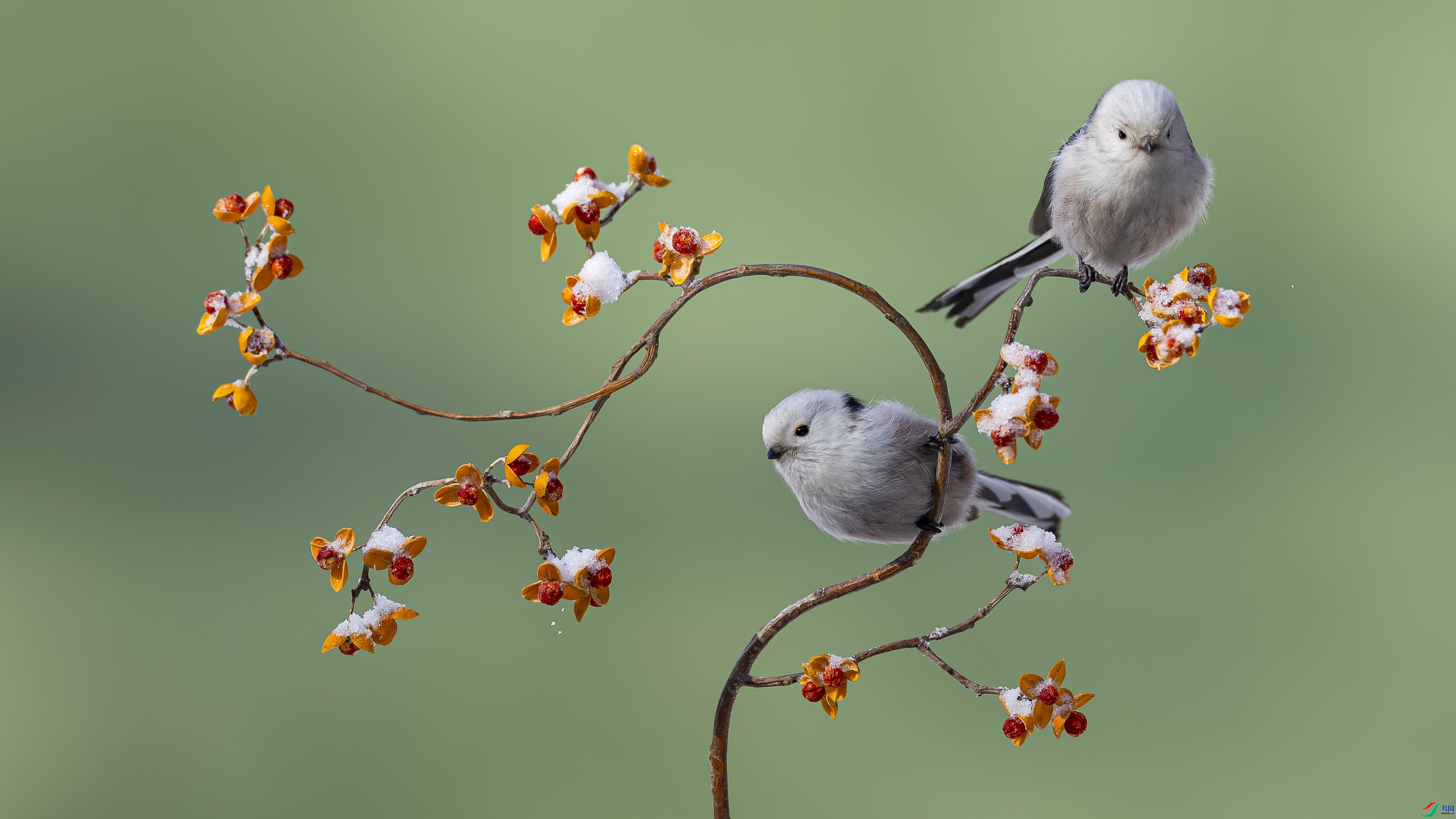 ˫ȸӭ�� ���� ɳ���Խ� �ܶ�.jpg