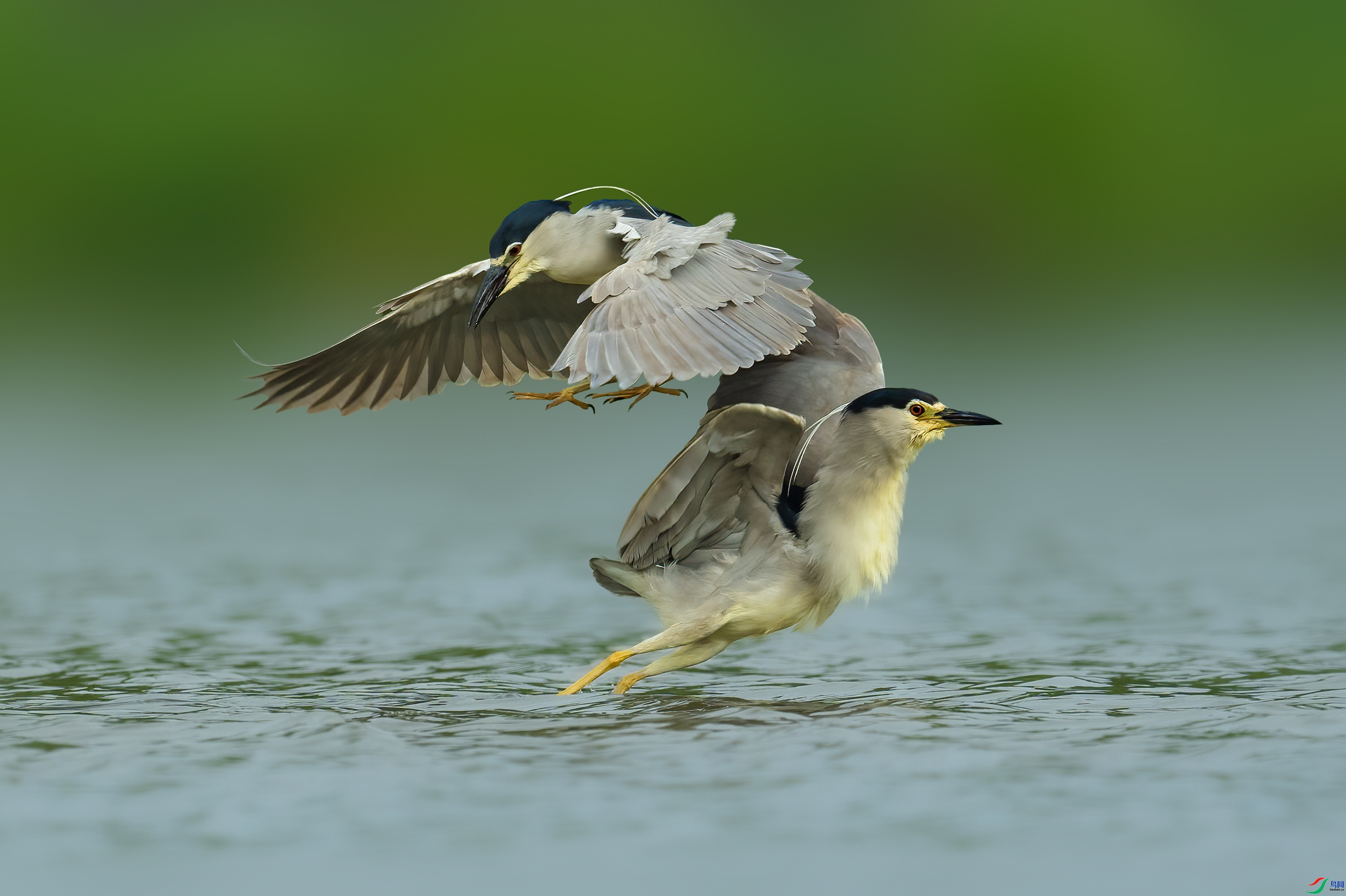 �����д� ���� ����· �ܶ�.jpg