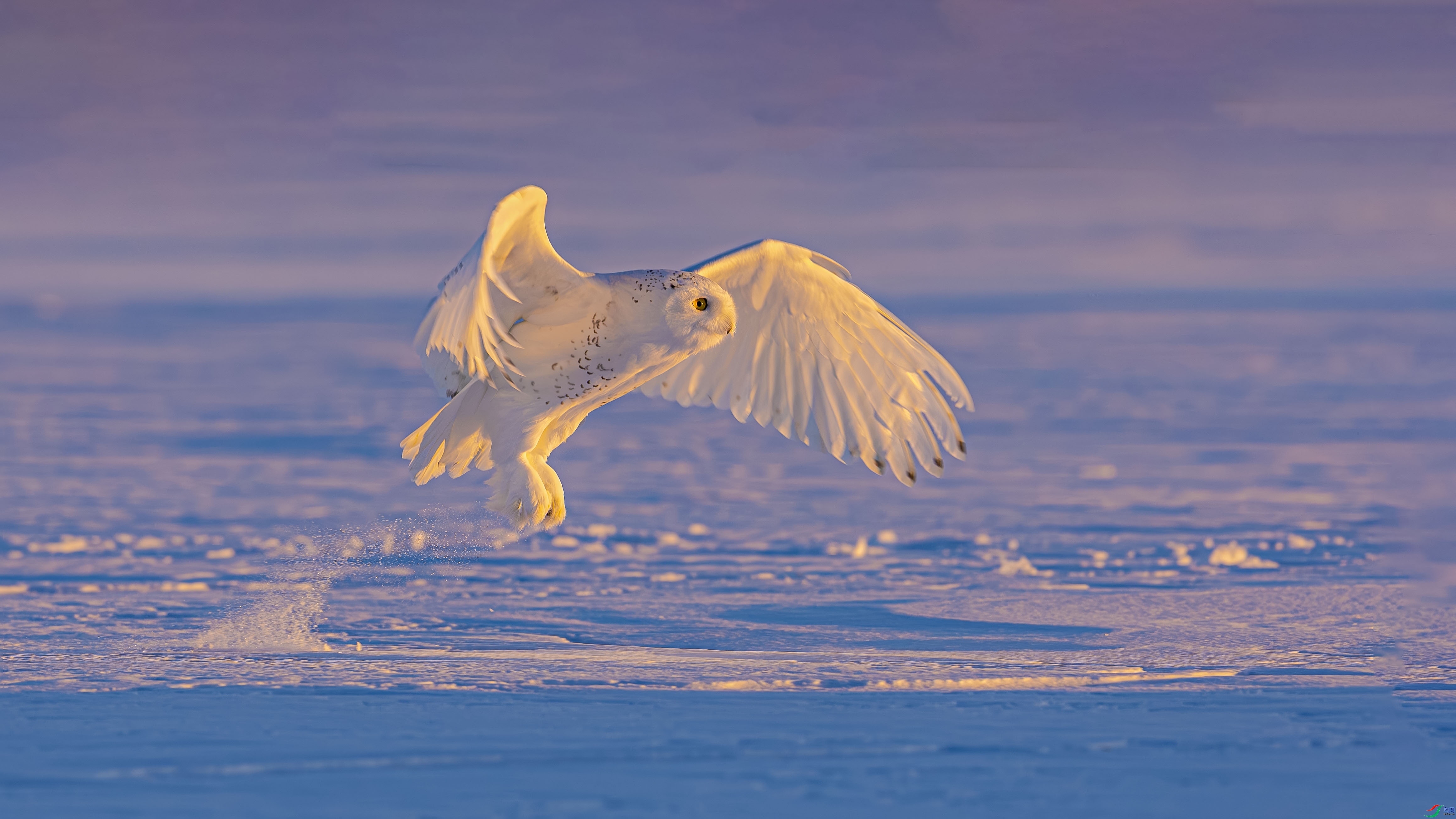 ѩ�^����  ���� ɳ���Խ� ����.jpg