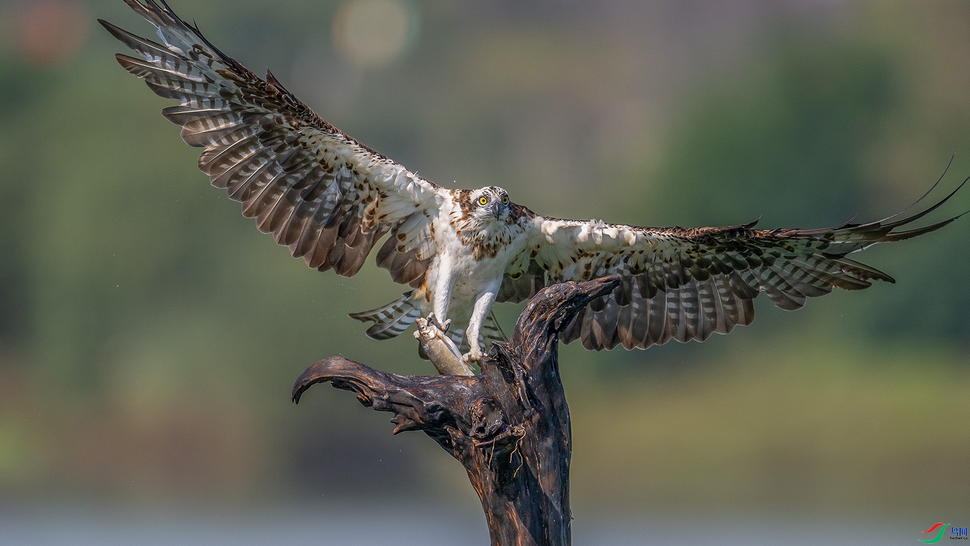 ����ץ��  ���� ��ѧ�� ����.jpg