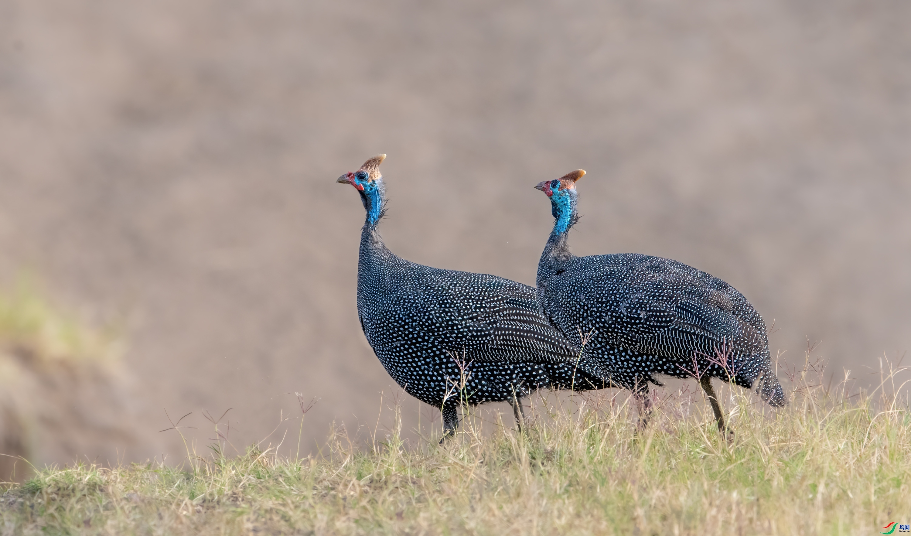 ���鼦 ���� ��Ͽ֮�� ����.jpg