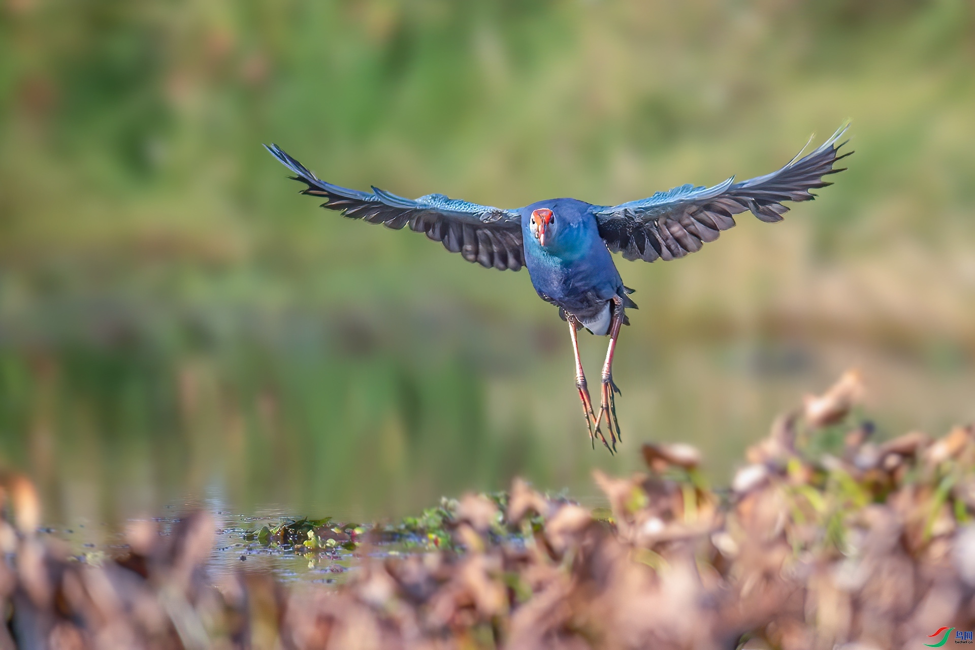 ��ˮ�� ���� ��ѧ�� ����.jpg