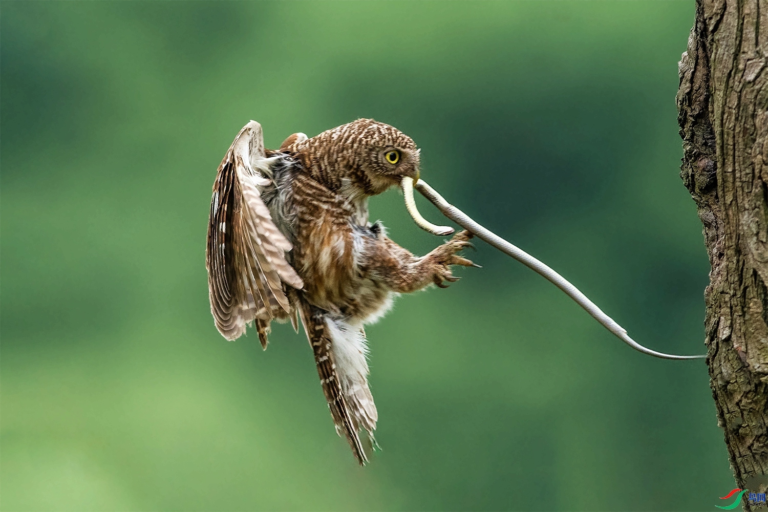 �ջ�  ���� ͧ�� ����.jpg