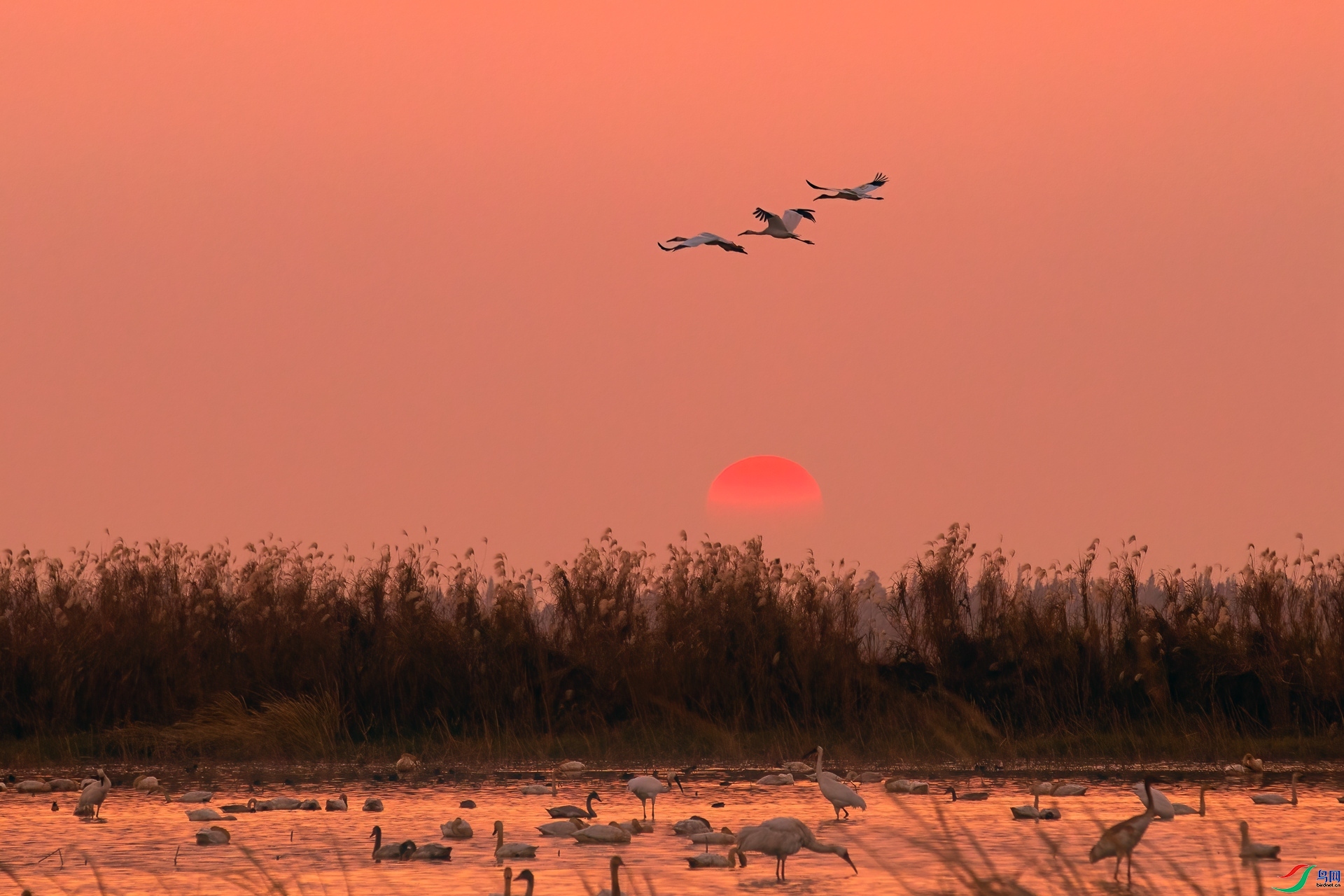 ׷Ϧ�� ���� ��ͽ  ����.jpg