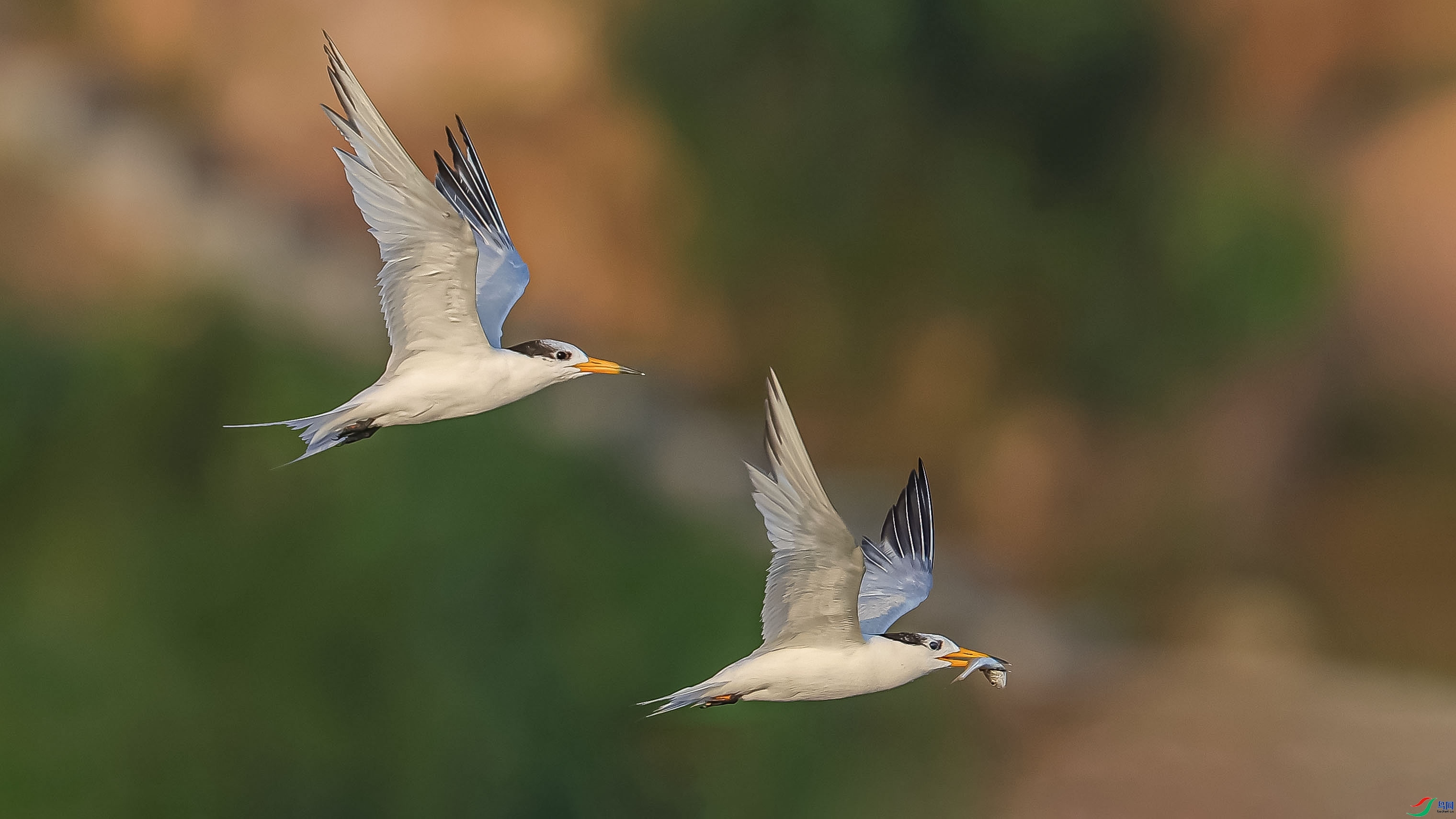 ��� ���� ɳ���Խ� ����.jpg