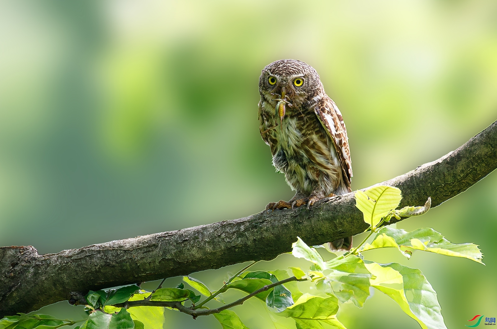 ��m ���� ��ɽ��ˮ ����.jpg