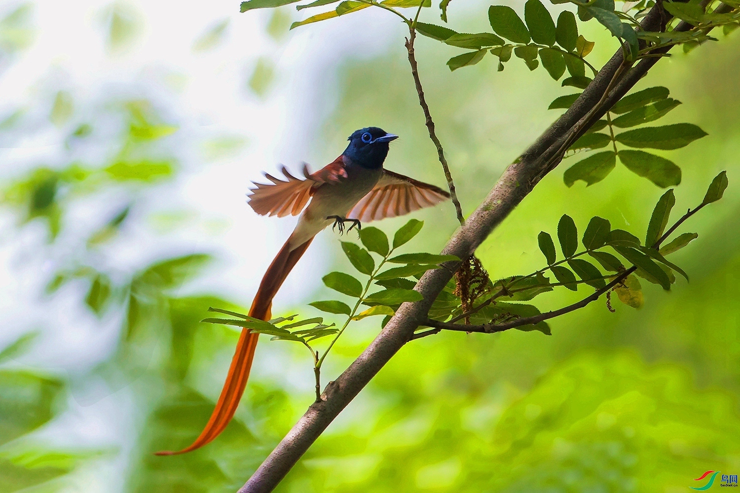 �ٴ�  ���� ͧ�� ����.jpg