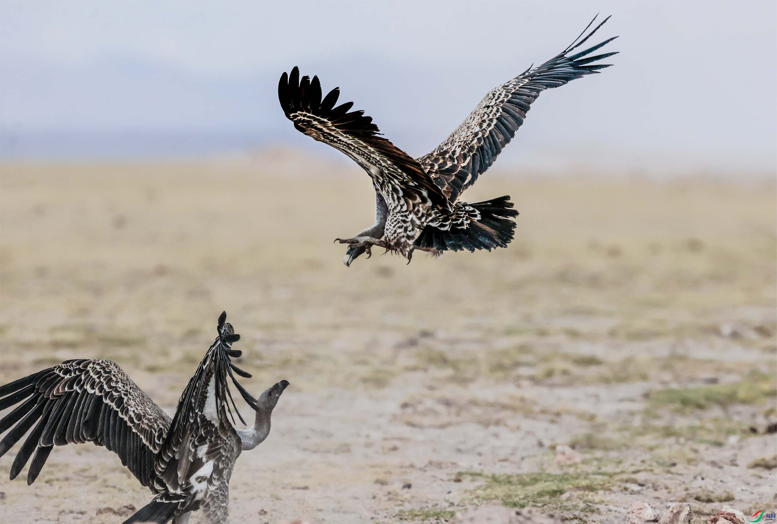 ��Ϯ ����.jpg