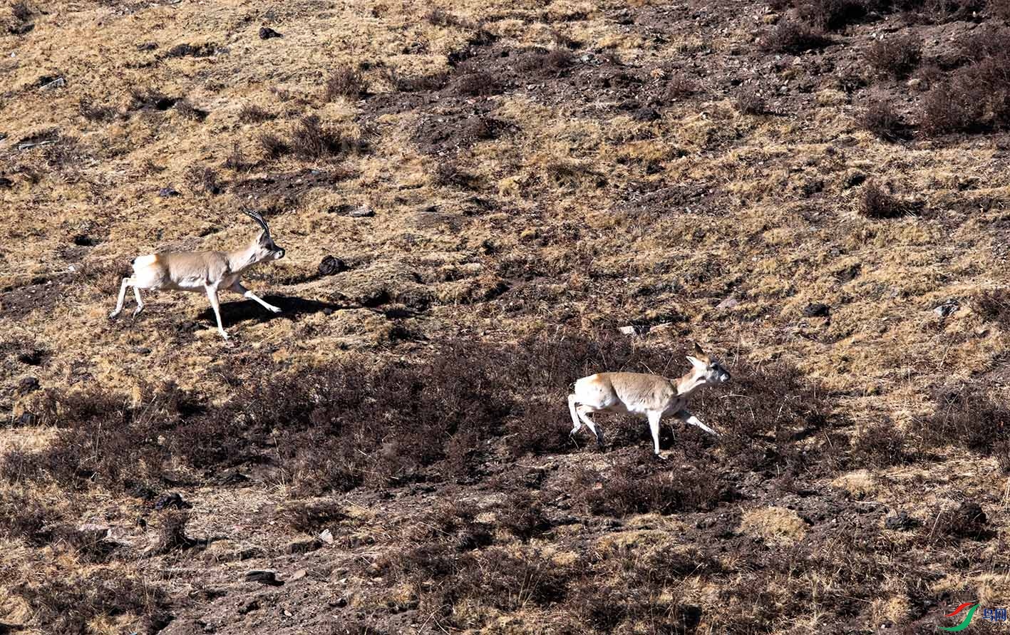 _DSC9737.jpg