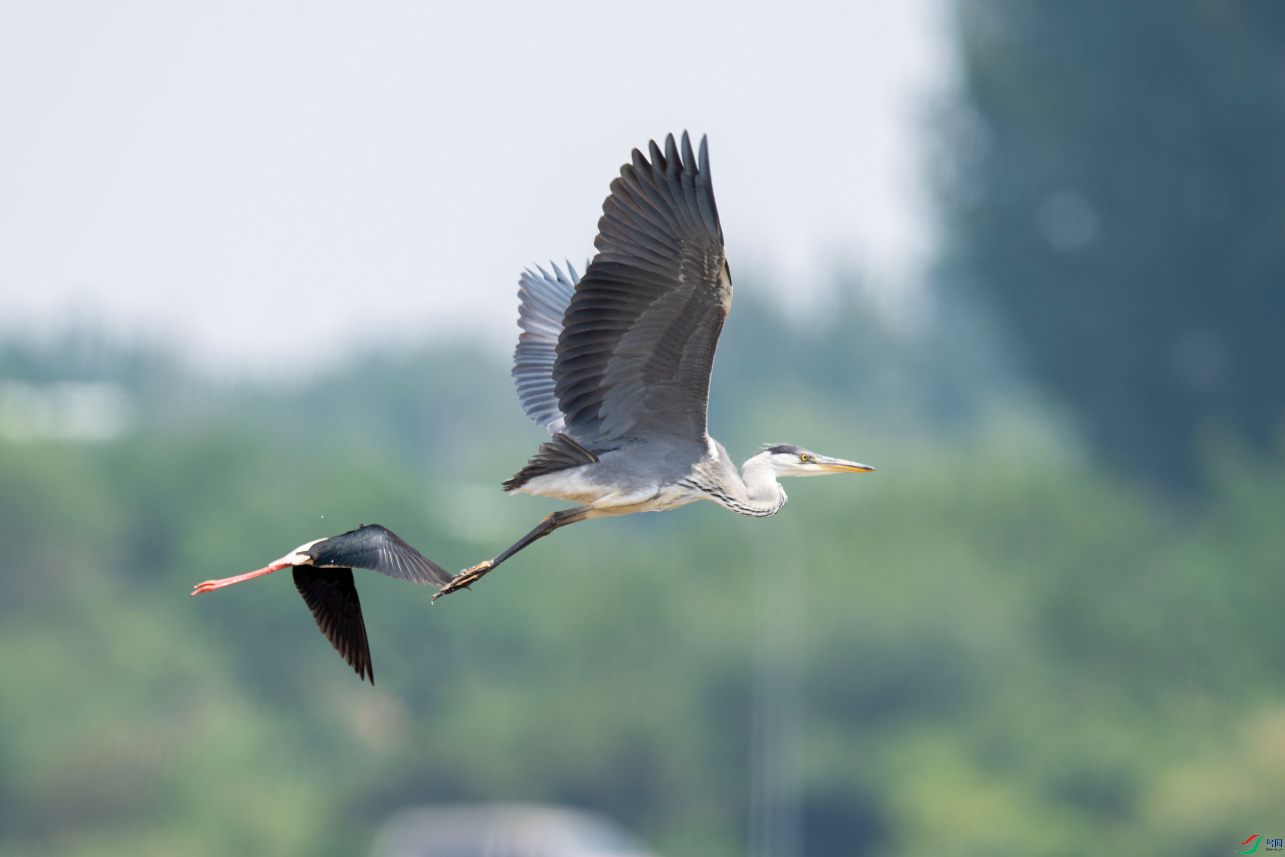 DSC_7500.jpg