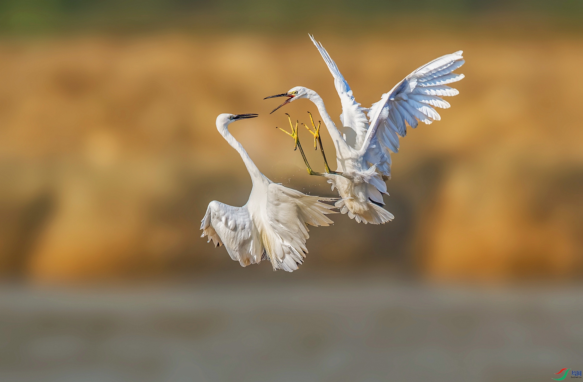 DSC_1991 ����_���� ����.jpg